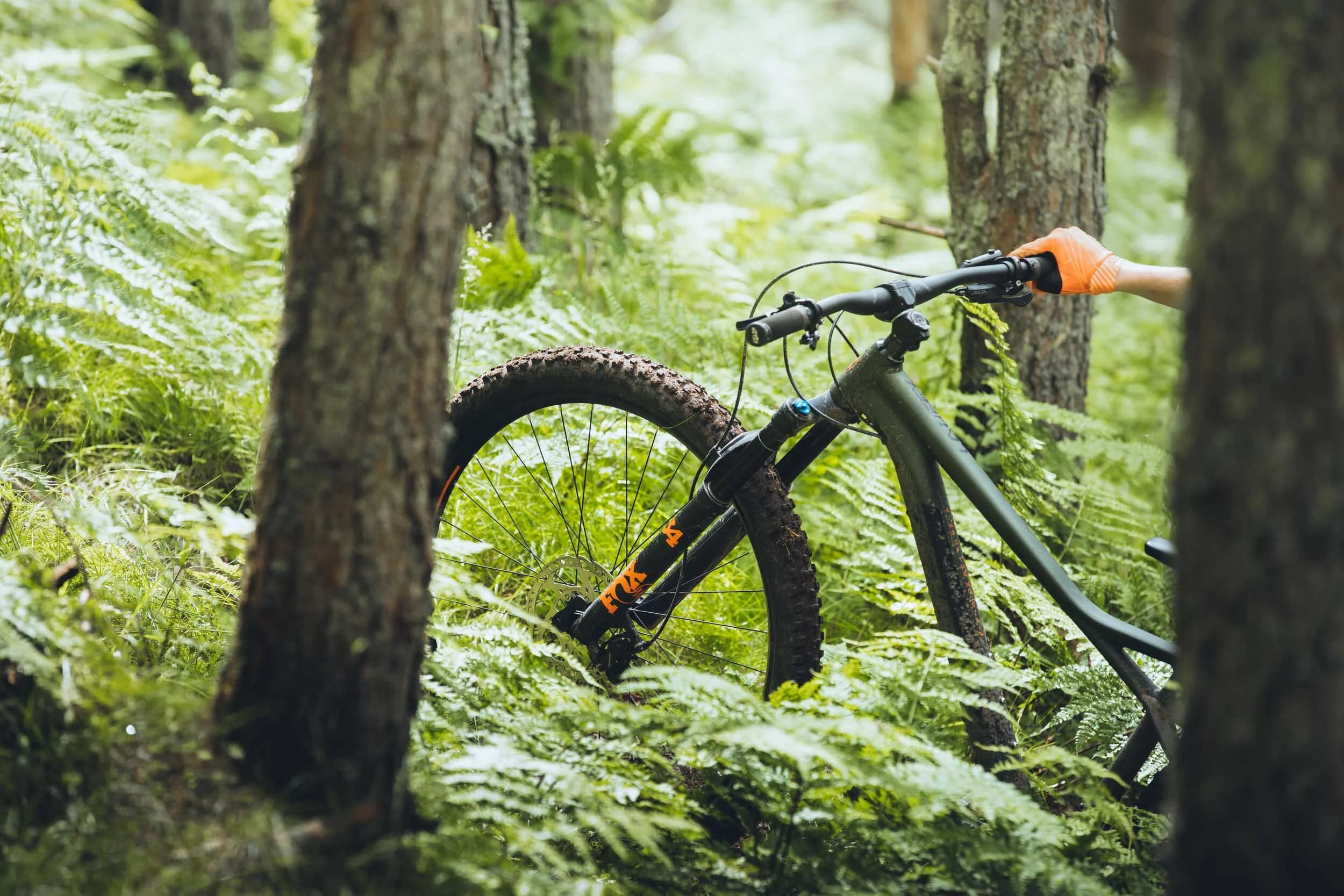 Orbea_Scotland_July_2019_ByTomKahler_Lowres (169 of 178).jpg