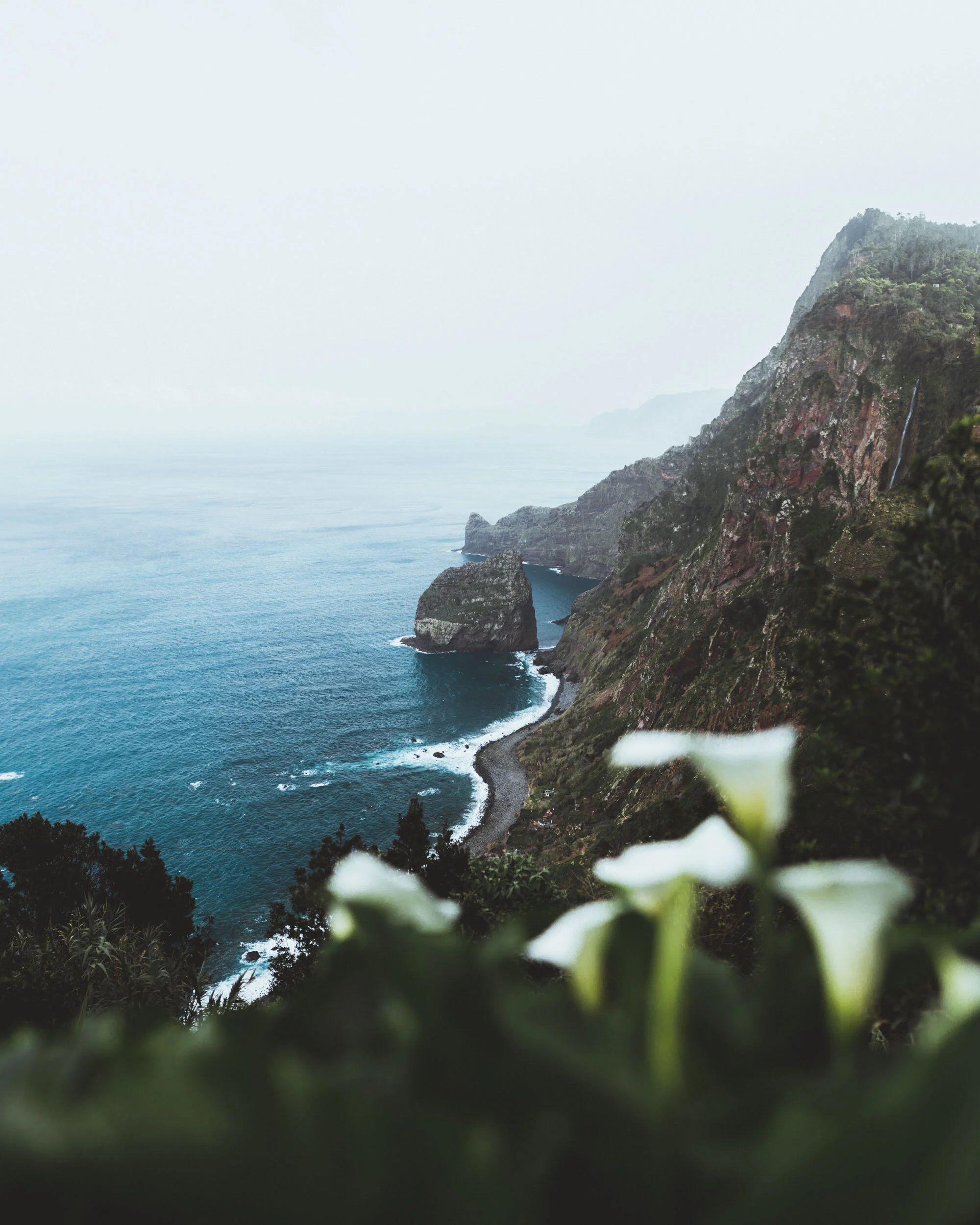 Madeira_Feb2019_ByTomKahler_Lowres (59 of 172).jpg