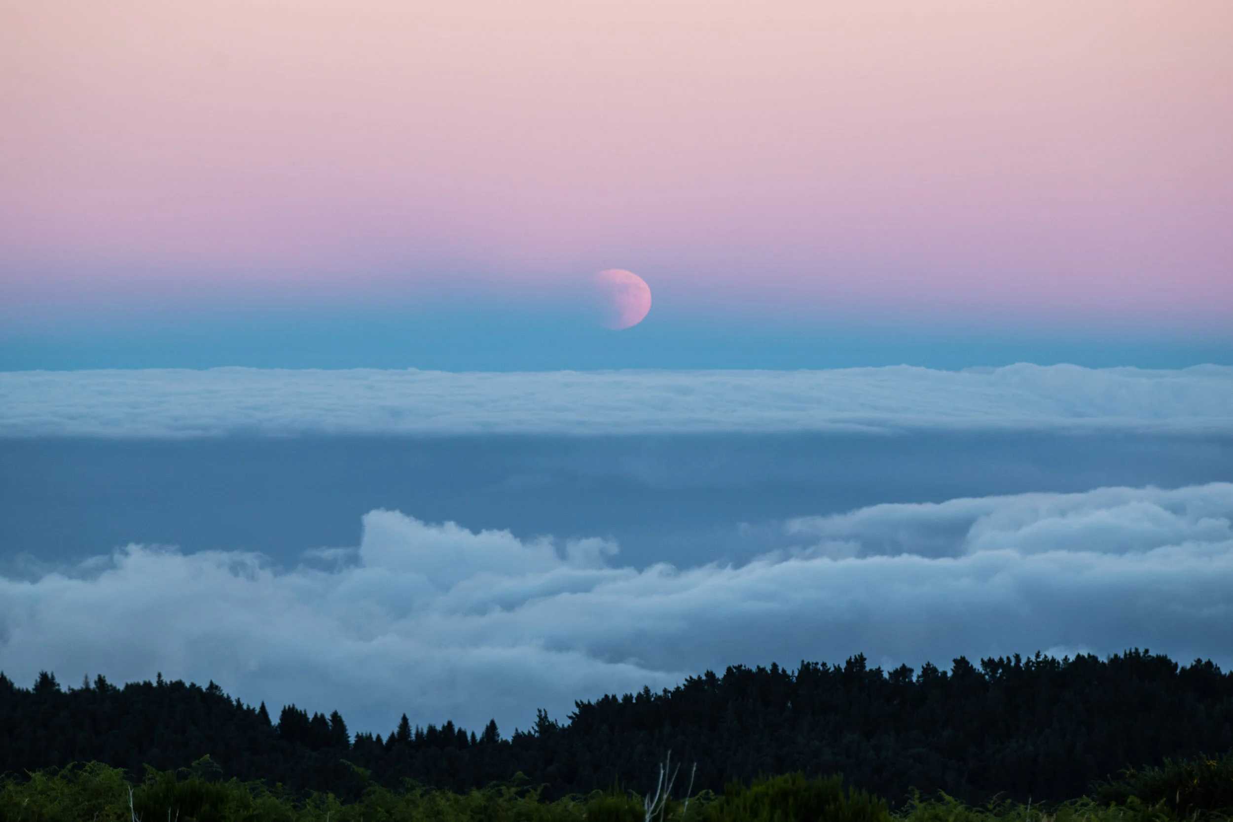 Maderia_Musto_July19_ByTomKahler_Lowres  (1 of 9).jpg