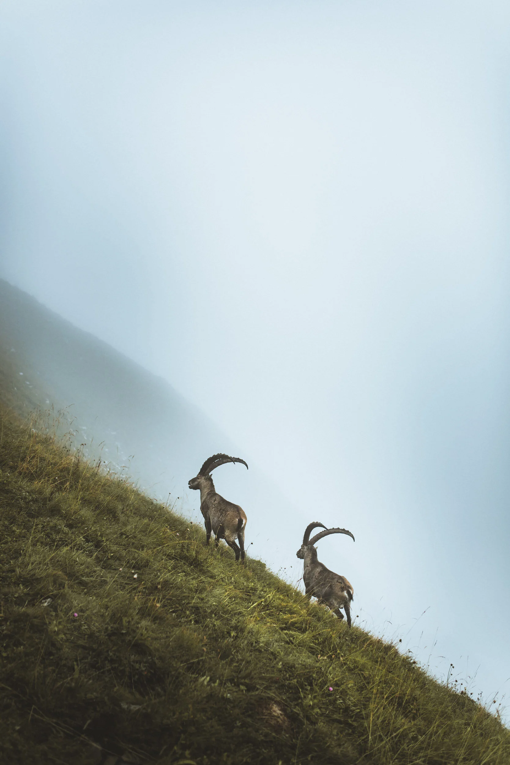 Chamonix_August_2018_ByTomKahler_Lowres (109 of 112).jpg