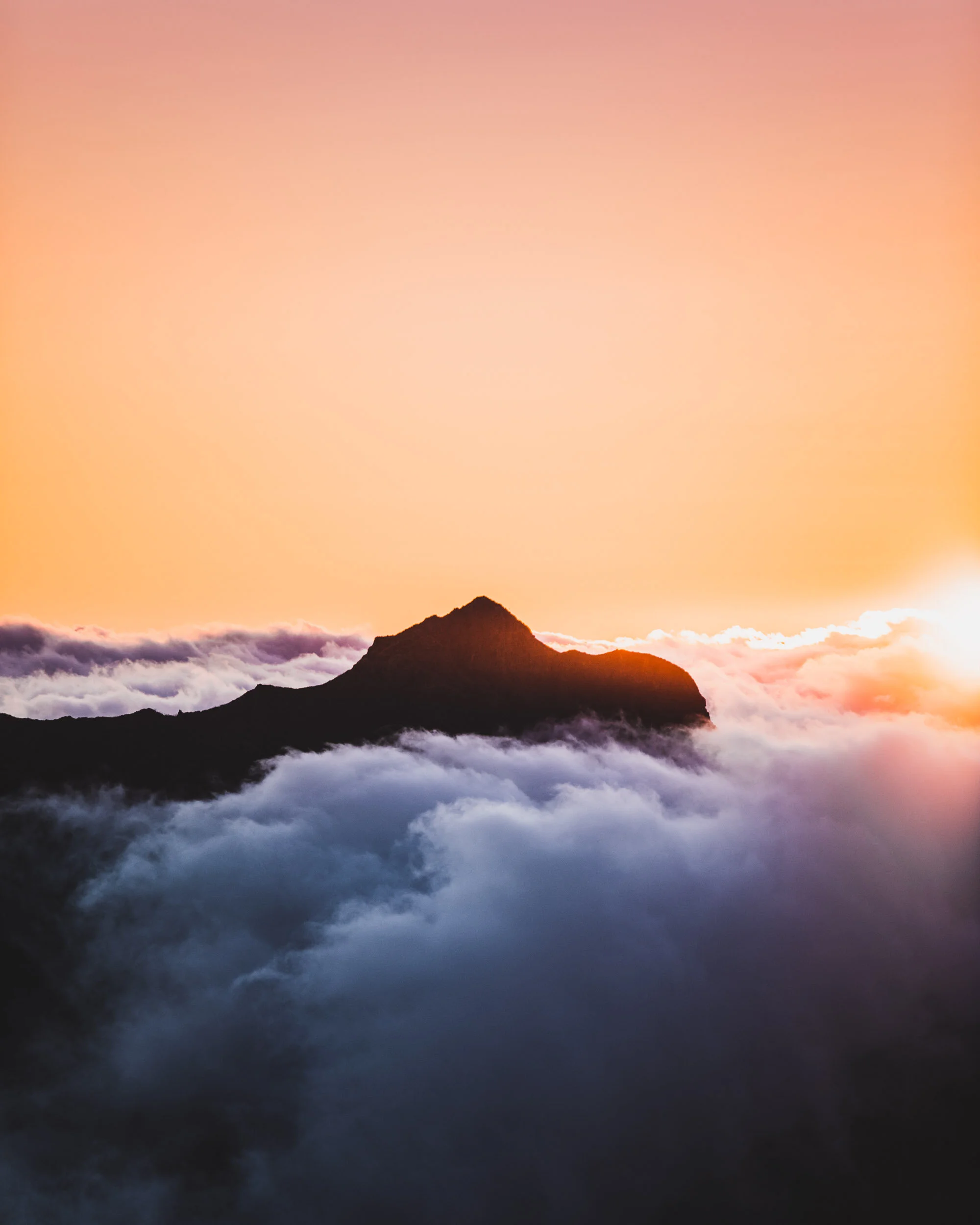 Maderia_Musto_July19_ByTomKahler_Lowres  (1 of 1).jpg