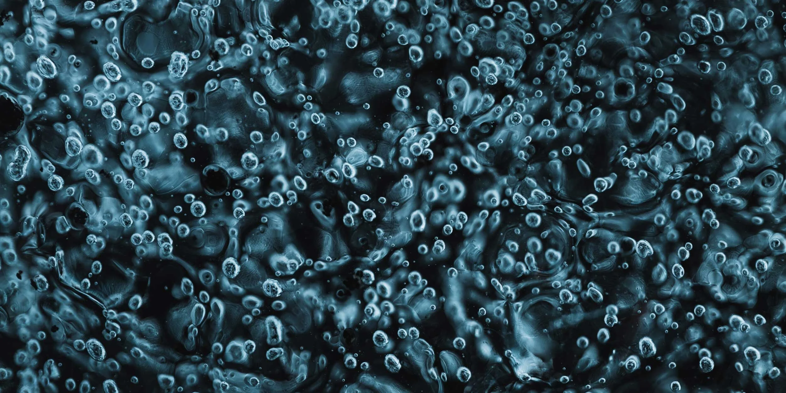 Prints_ByTomKahler_Lowres (8 of 8).jpg