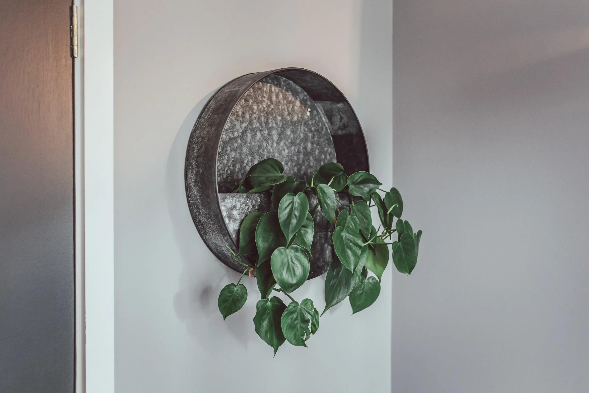 ThePilgrm_Sep2018_Lowres (57 of 234).jpg