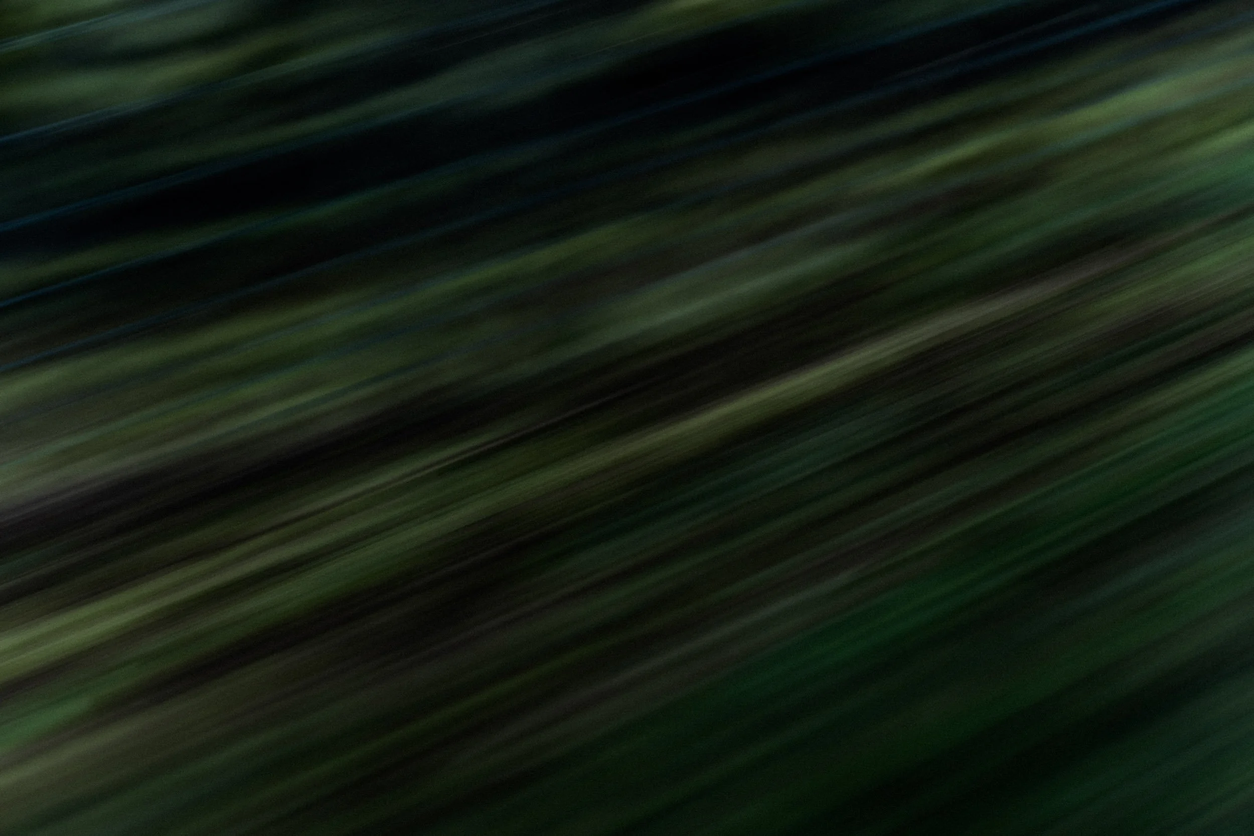SWI_IsleOfSkye_2026_ByTomKahler_Lowres-81.jpg