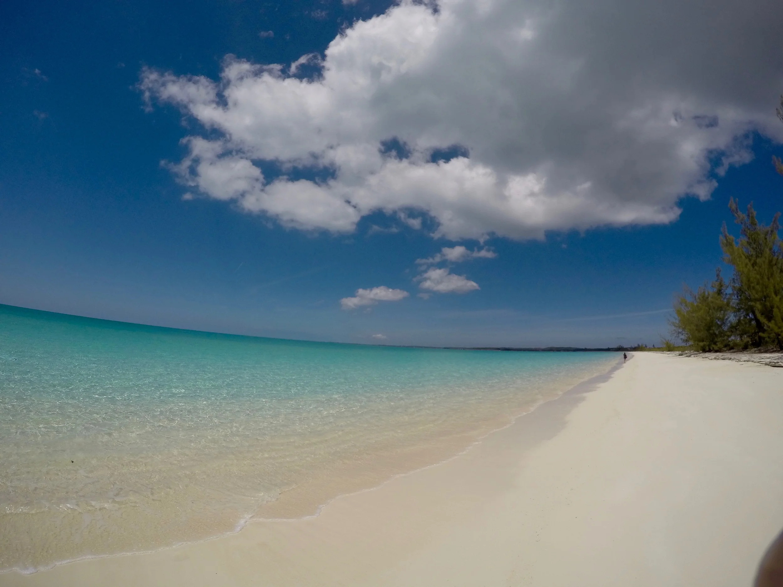 GOPR2736.jpg