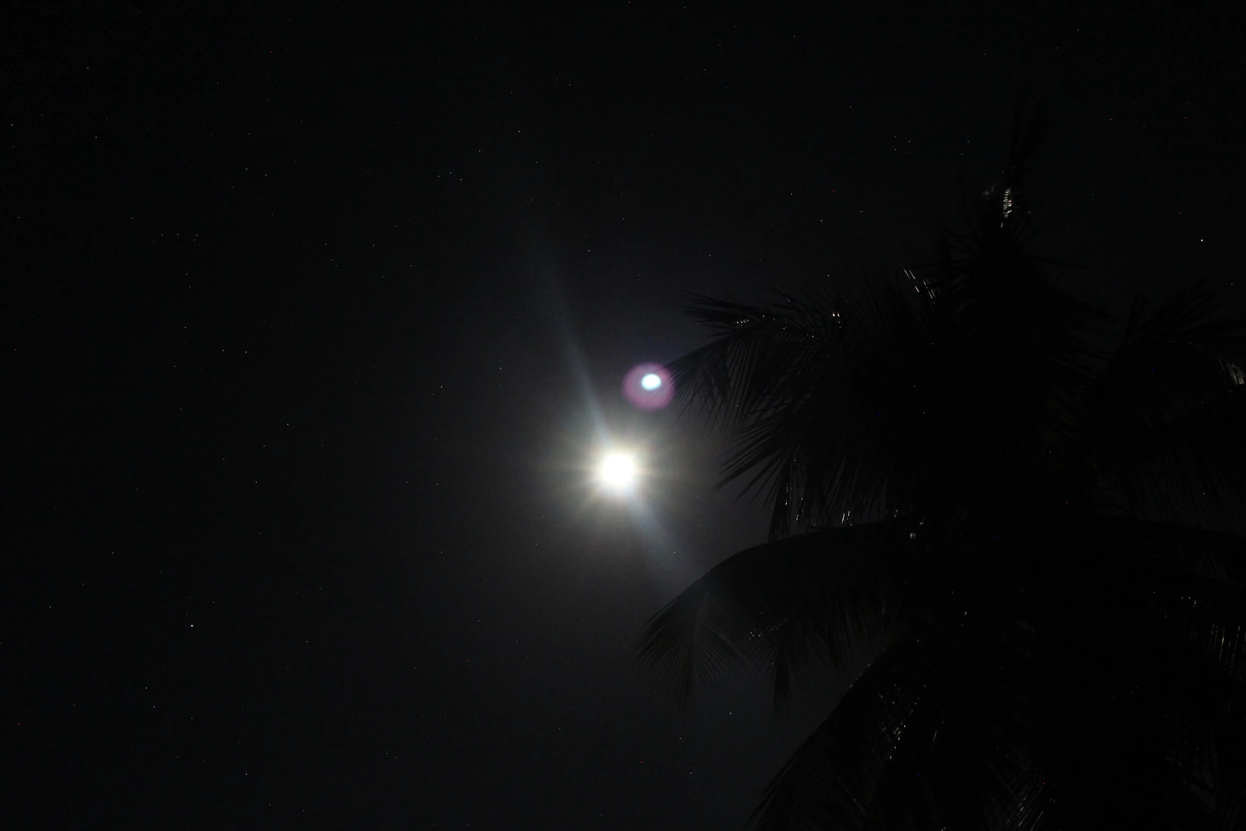 IMG_6200.jpg