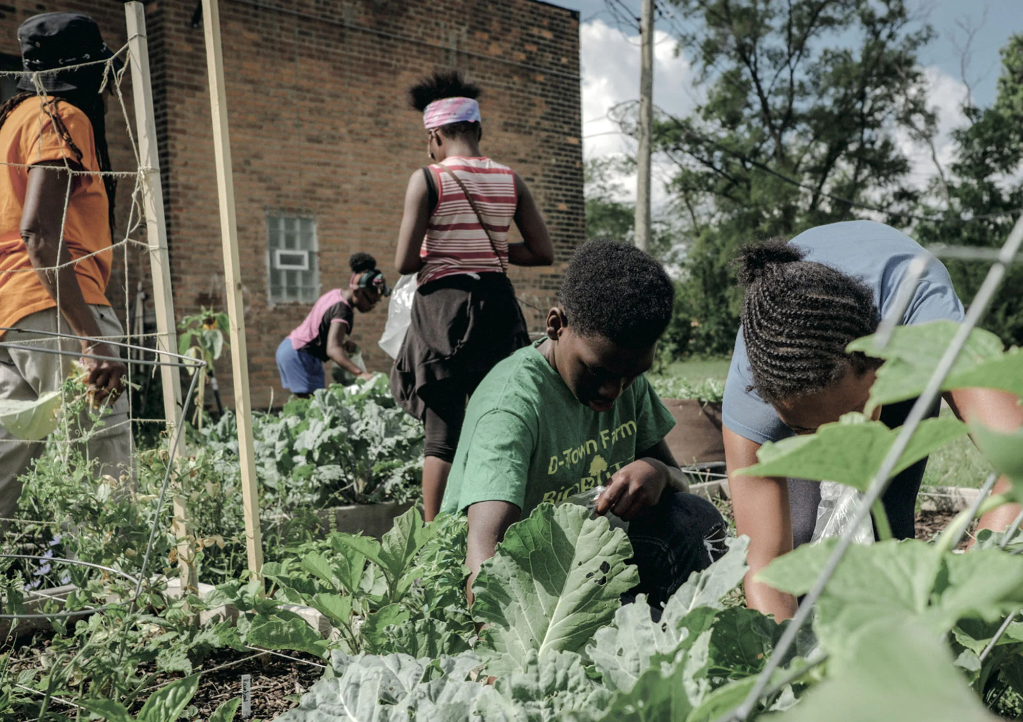 FREEDOM FARMERS