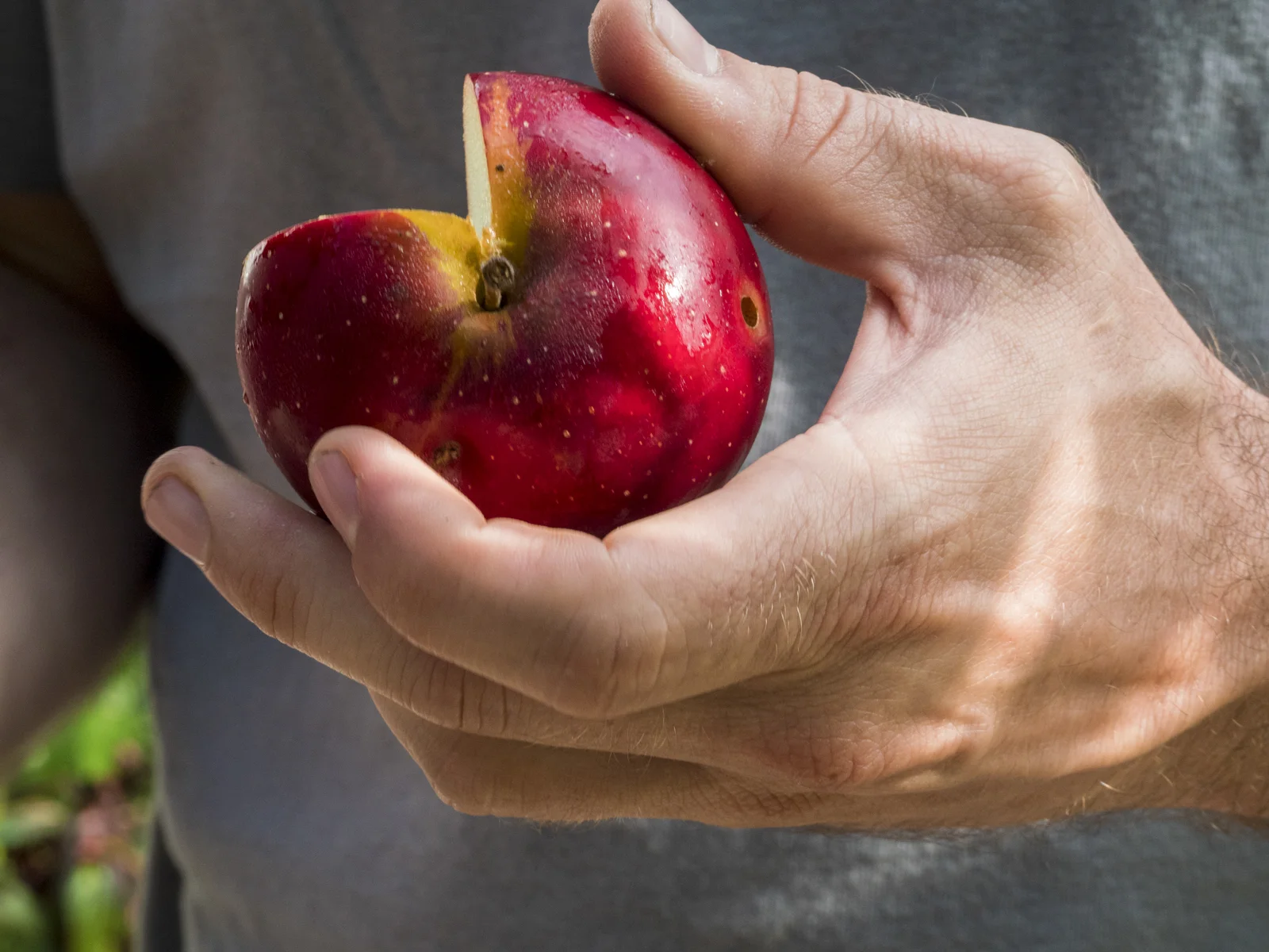 FORAGING AND FERMENTING ON LONG ISLAND