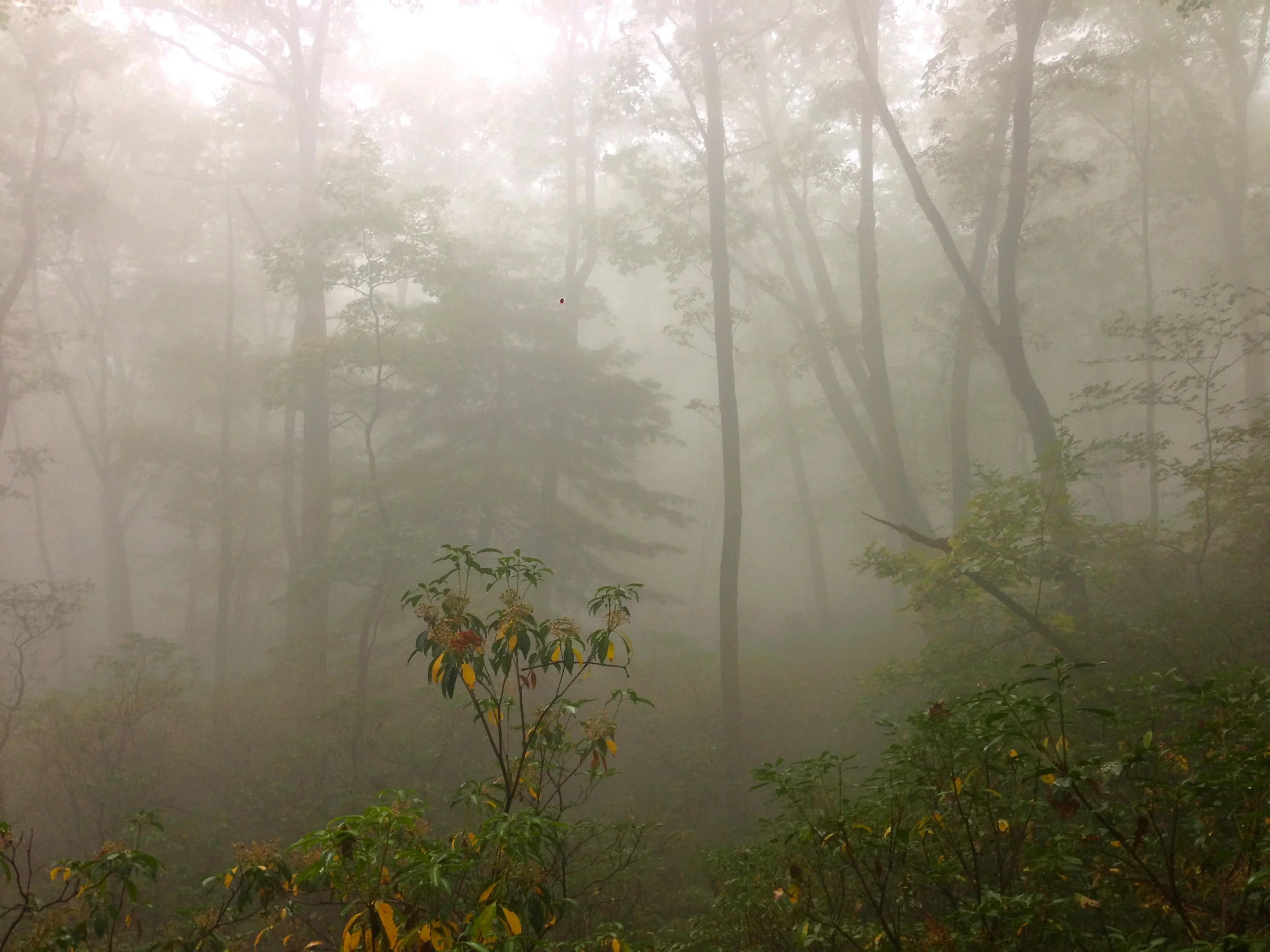 Bear Mountain, New York