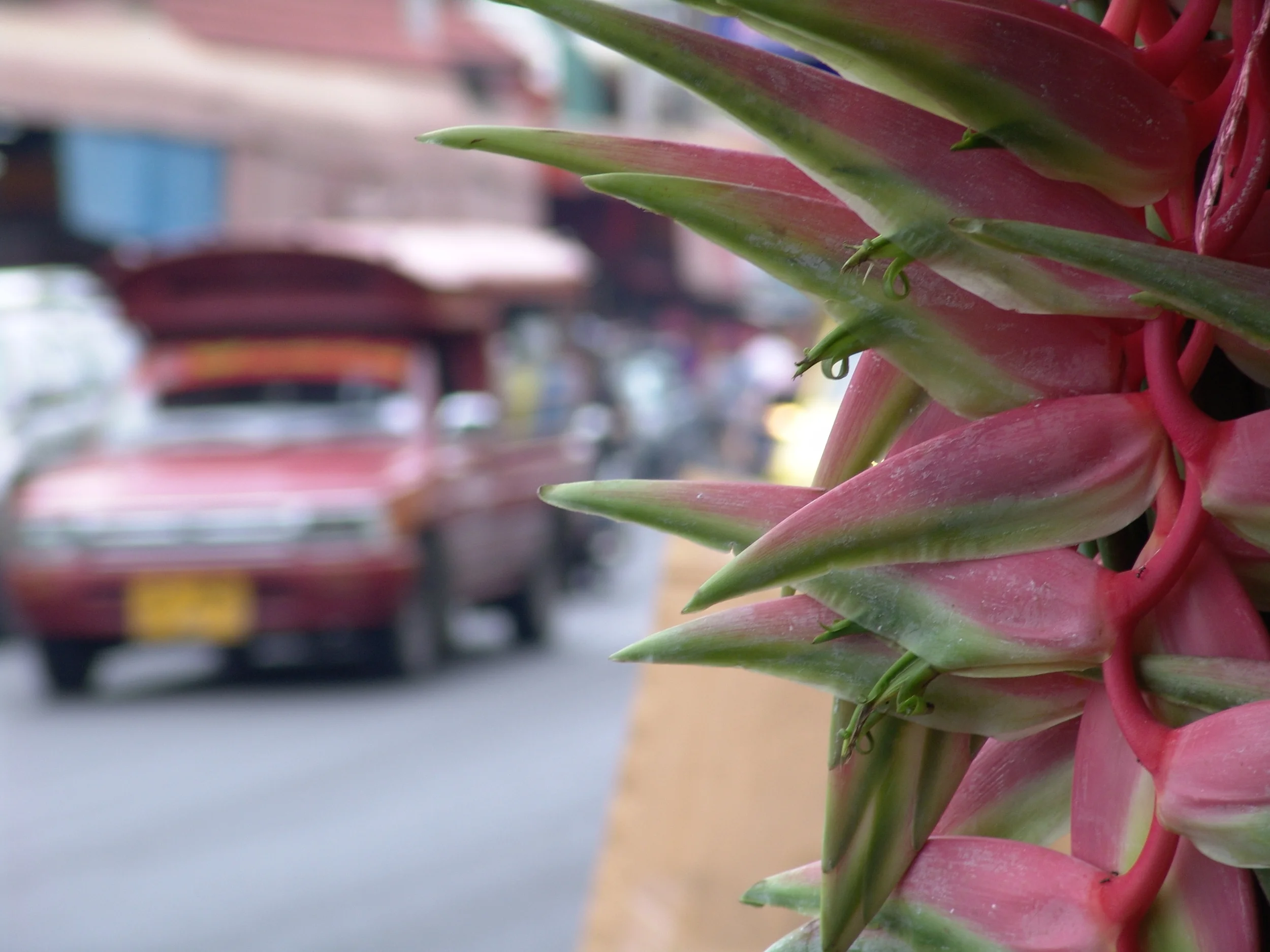 Chiang Mai, Thailand