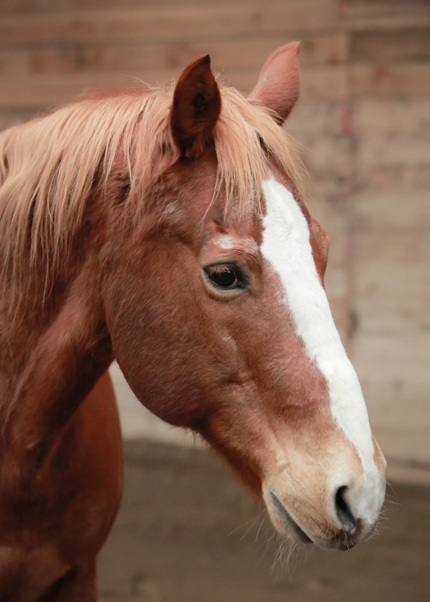 CascadianStablesWsm-213.jpg