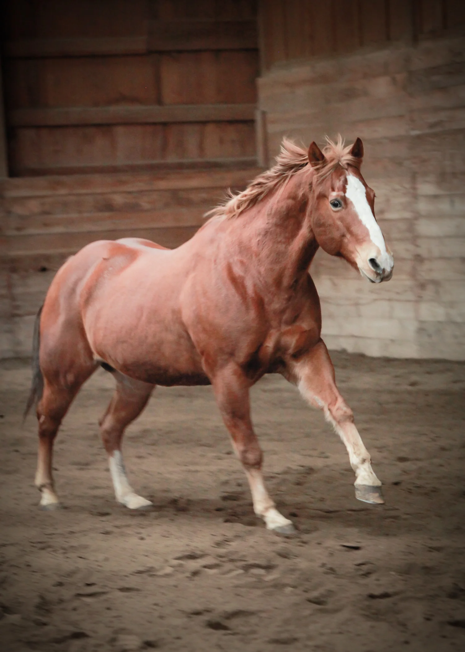CascadianStablesWsm-216.jpg