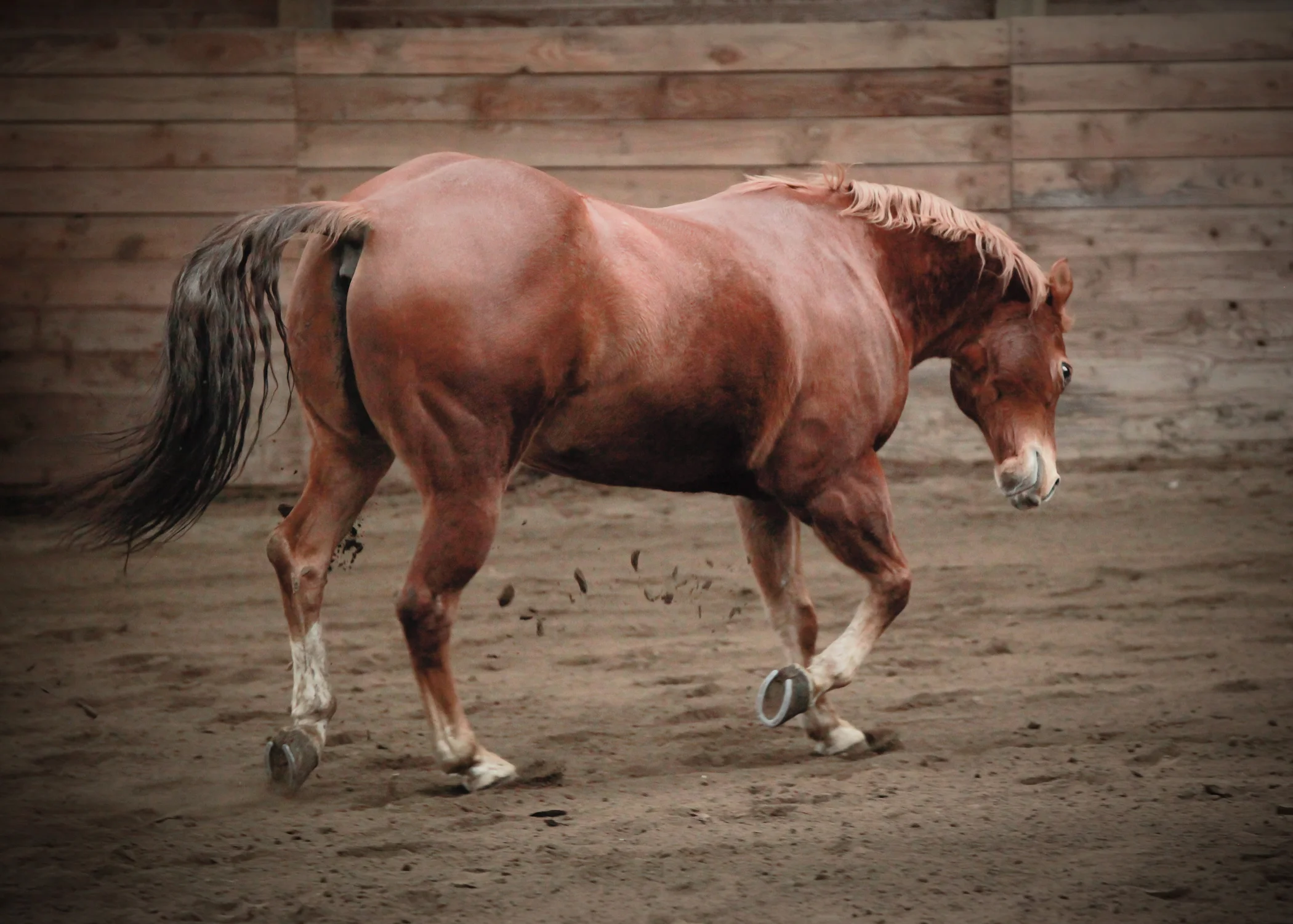 CascadianStablesWsm-217.jpg