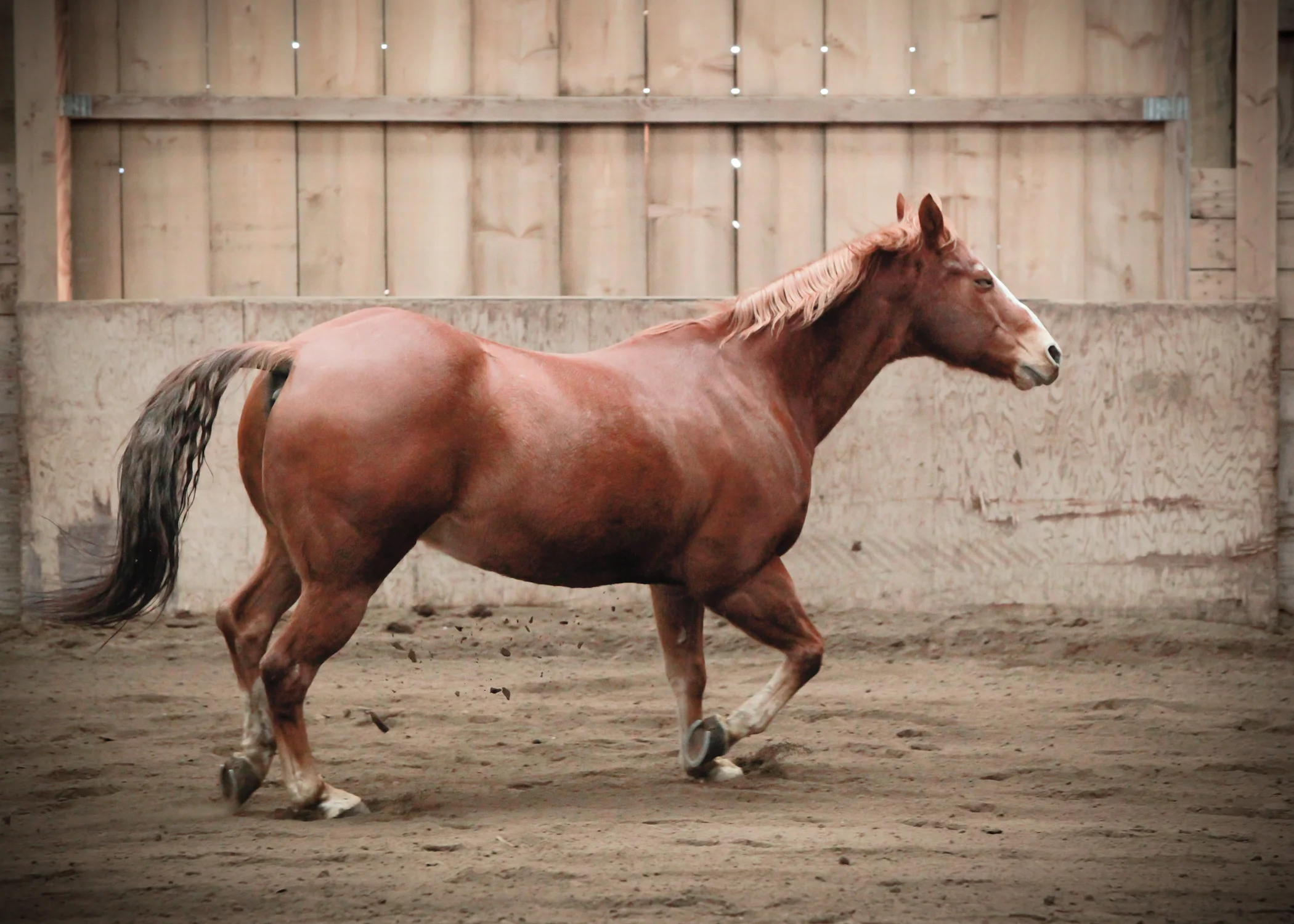 CascadianStablesWsm-218.jpg