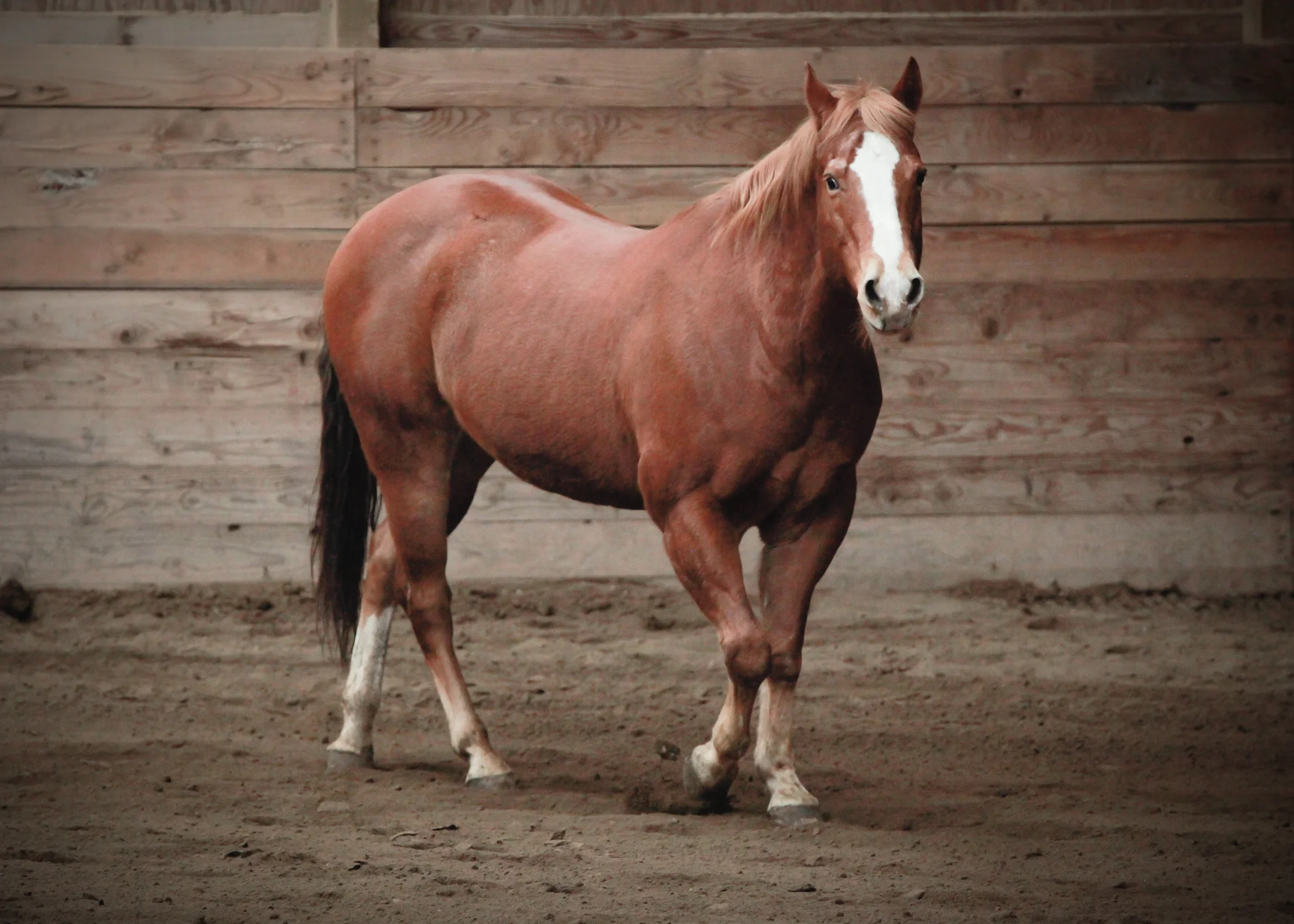 CascadianStablesWsm-219.jpg