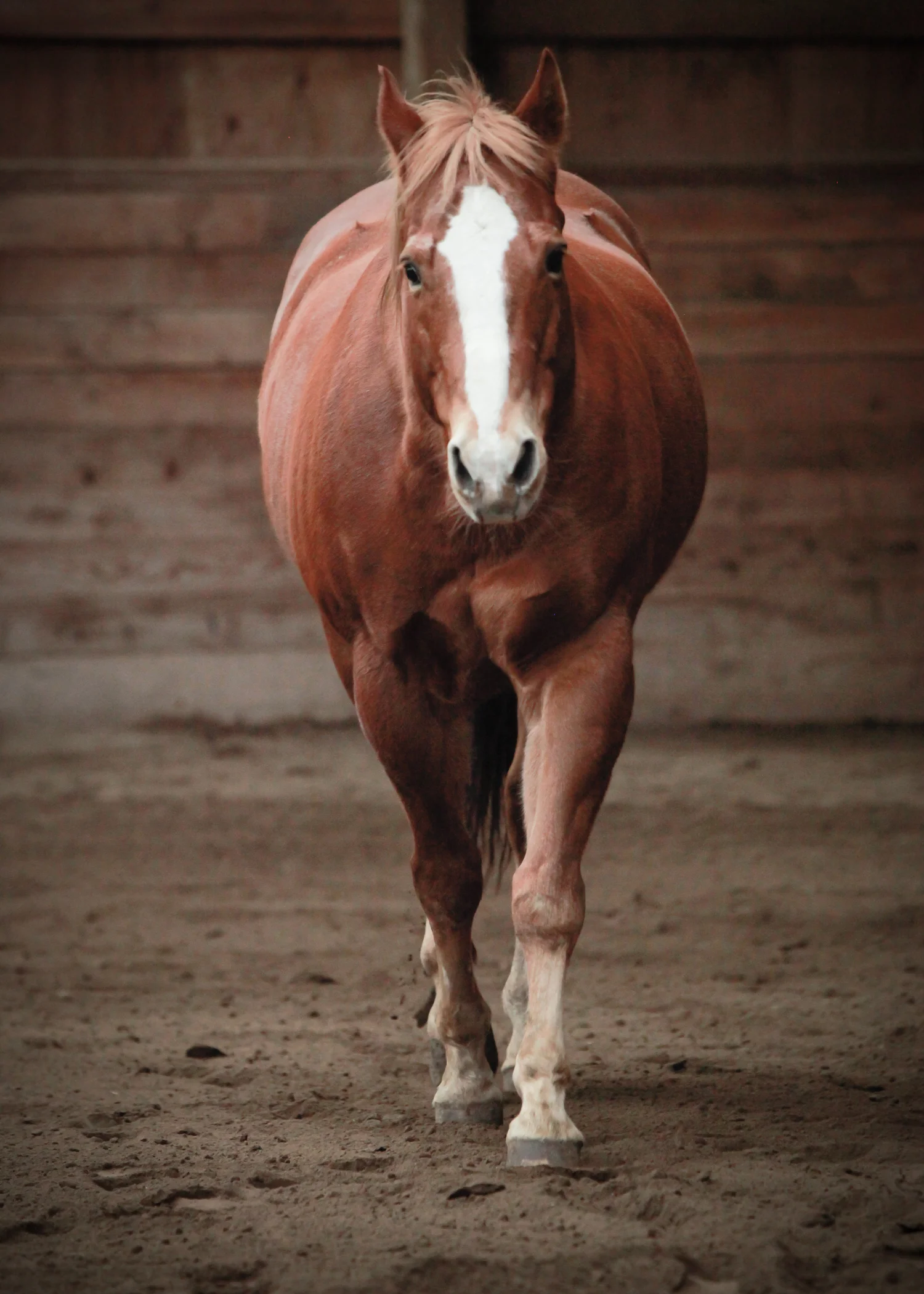CascadianStablesWsm-220.jpg
