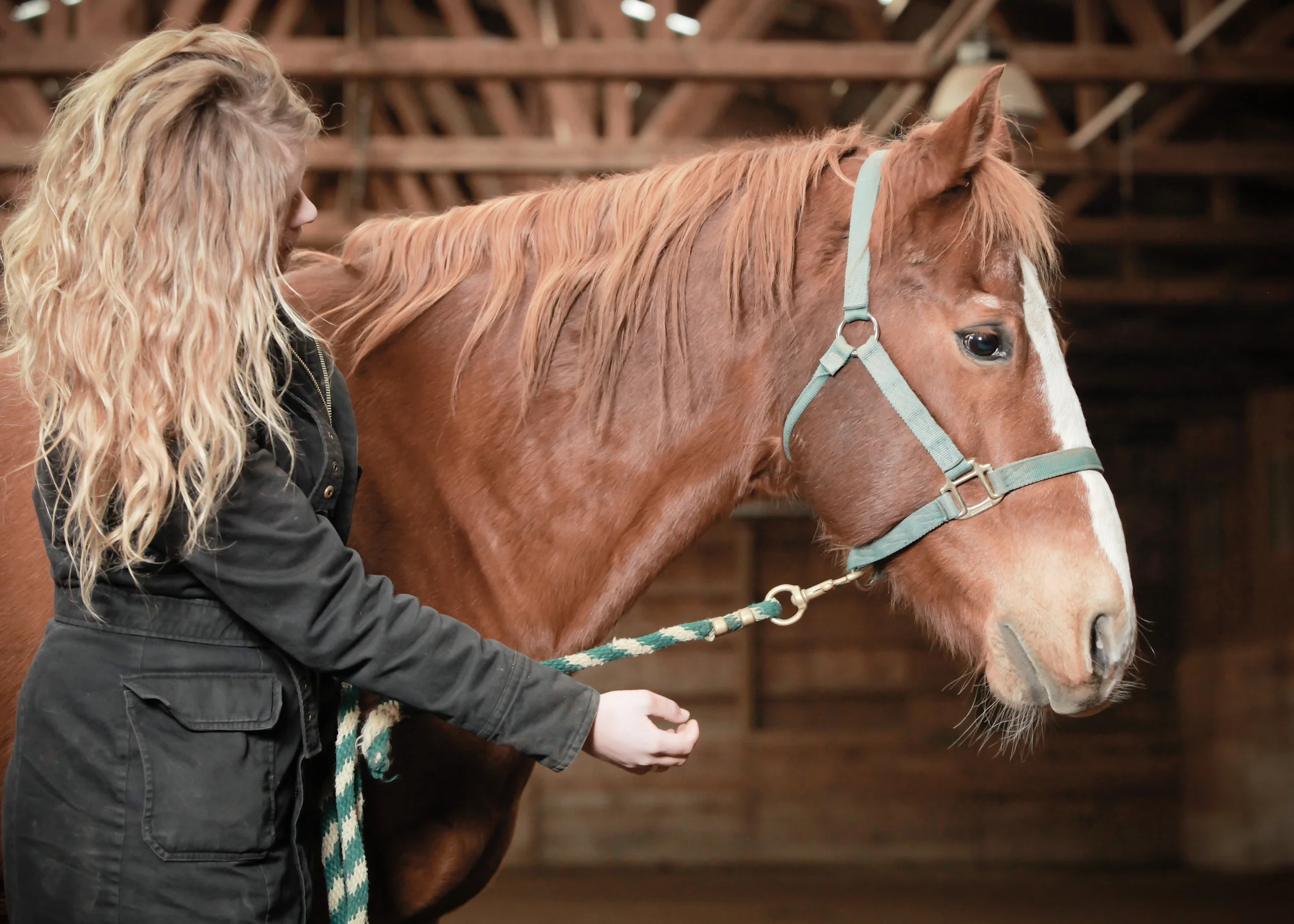 CascadianStablesWsm-4.jpg