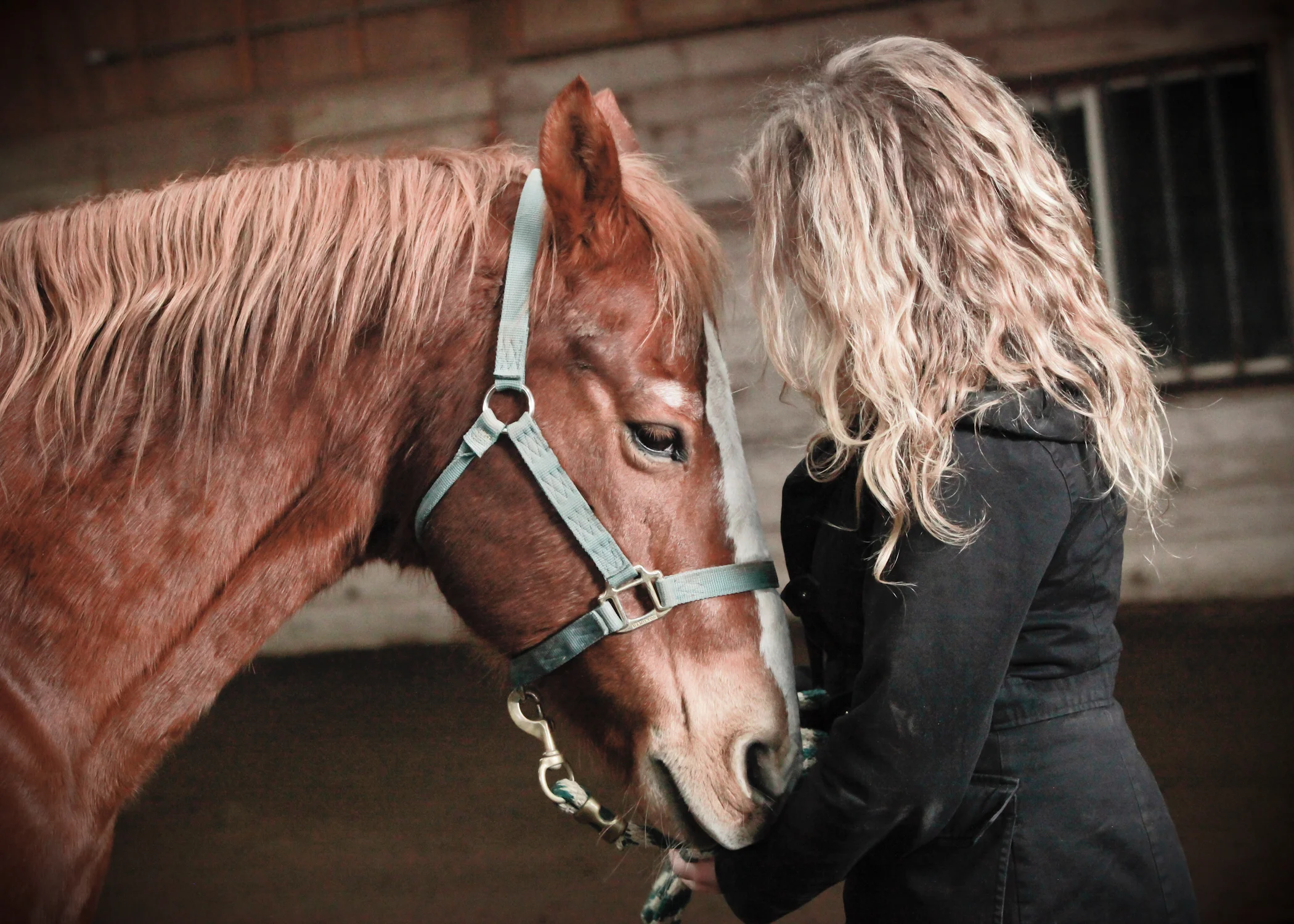 CascadianStablesWsm-26.jpg