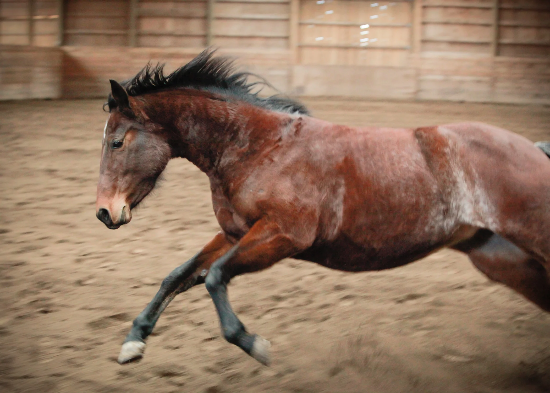 CascadianStablesWsm-236.jpg