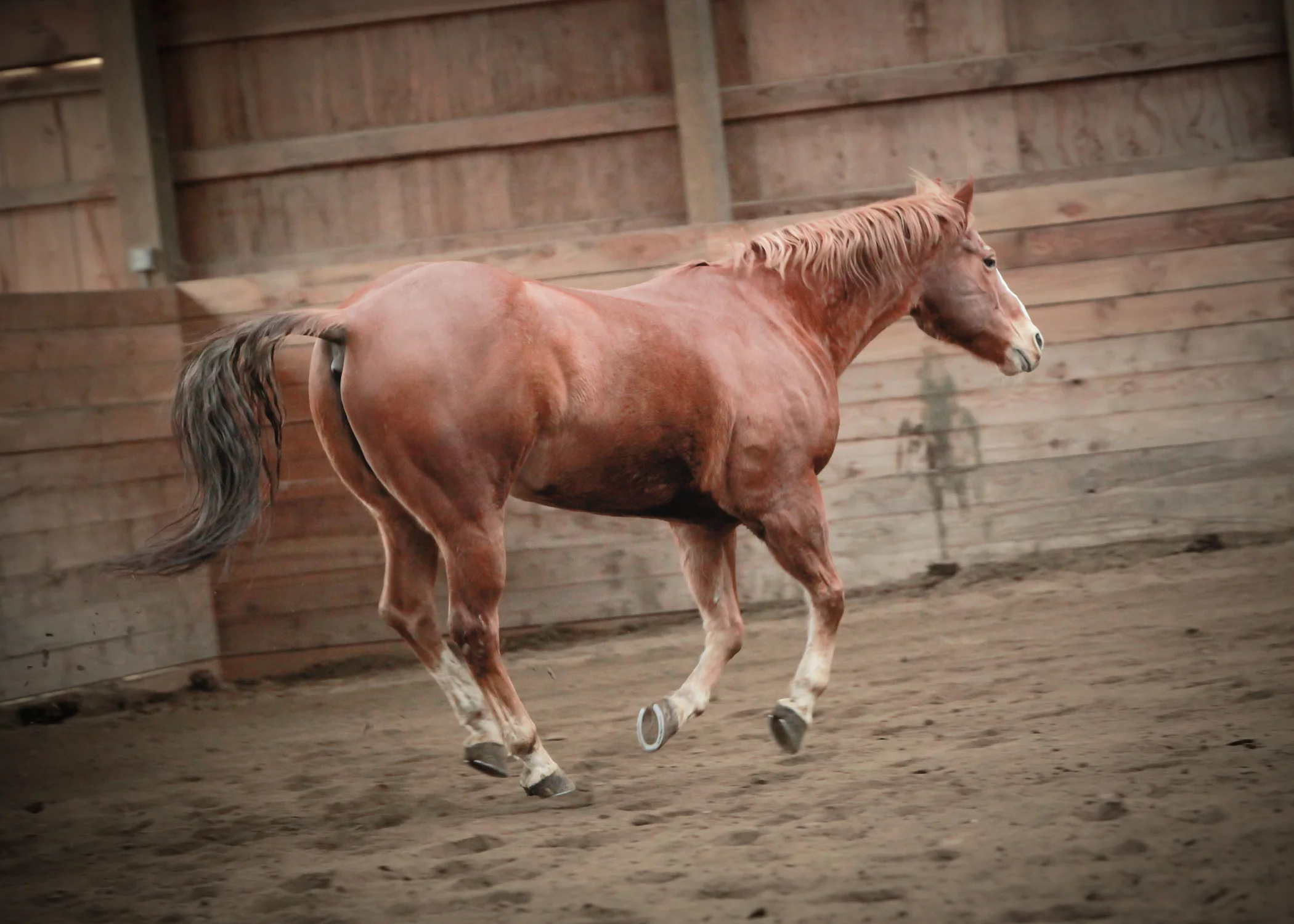 CascadianStablesWsm-214.jpg