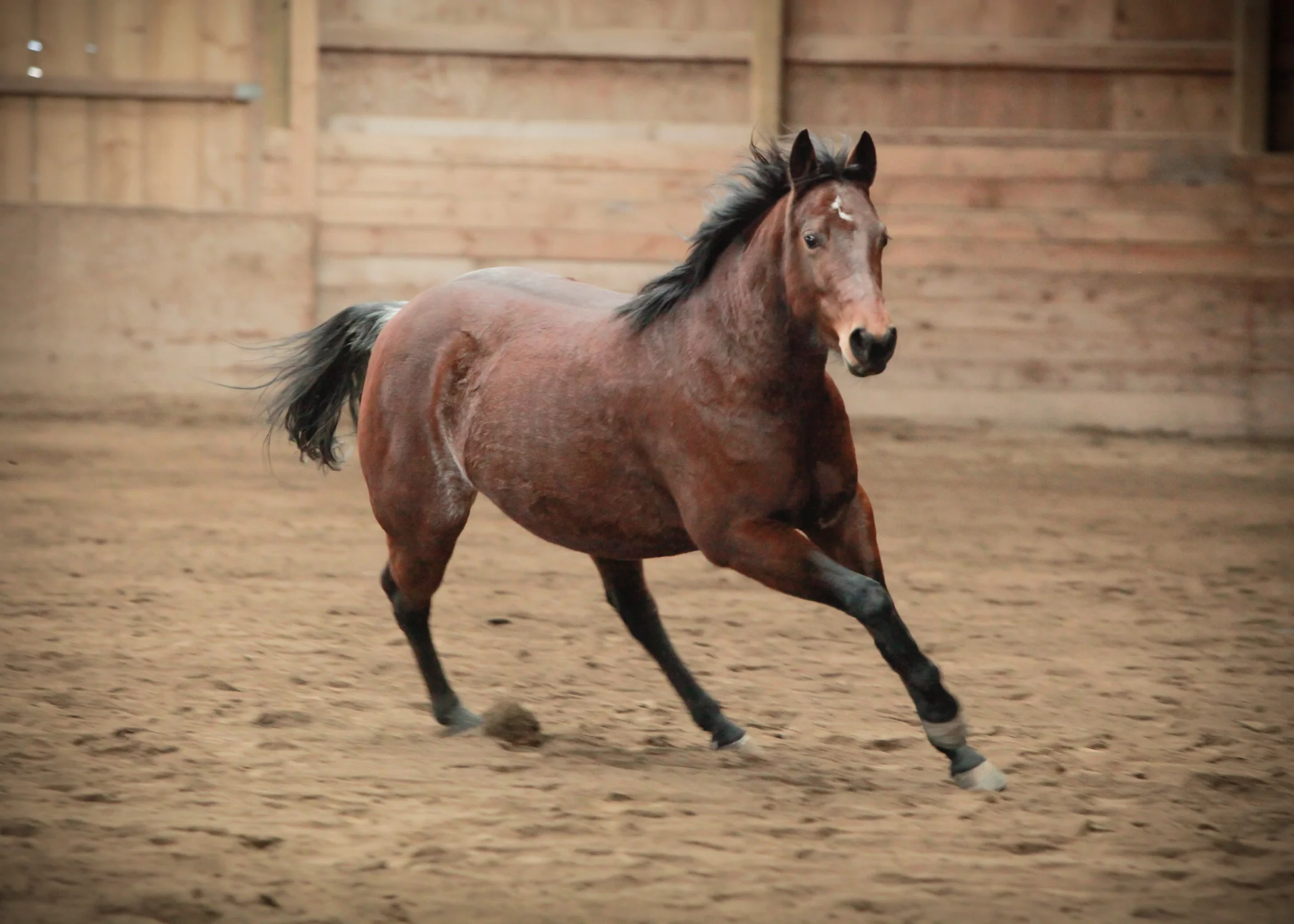 CascadianStablesWsm-237.jpg