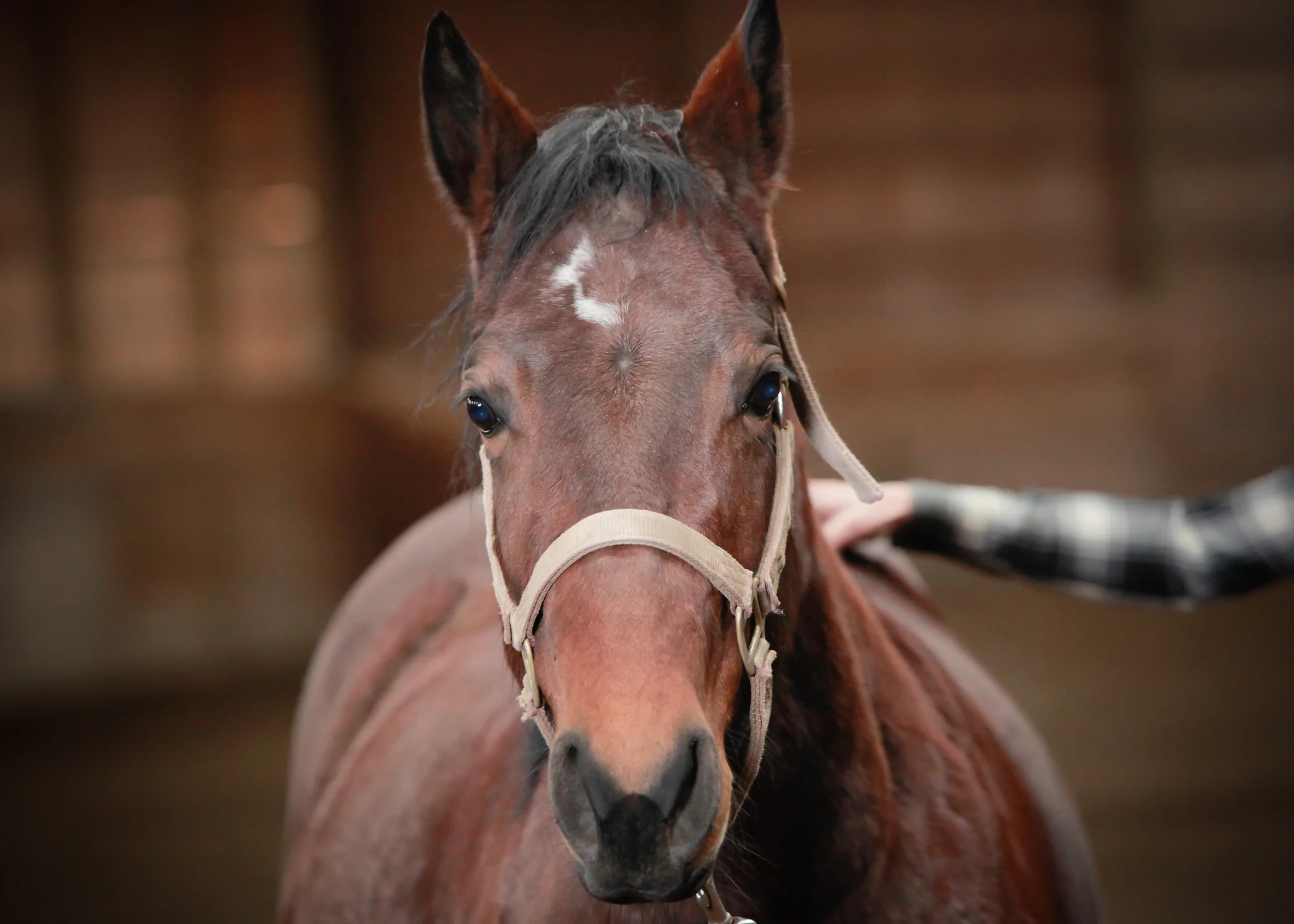 CascadianStablesWsm-126.jpg
