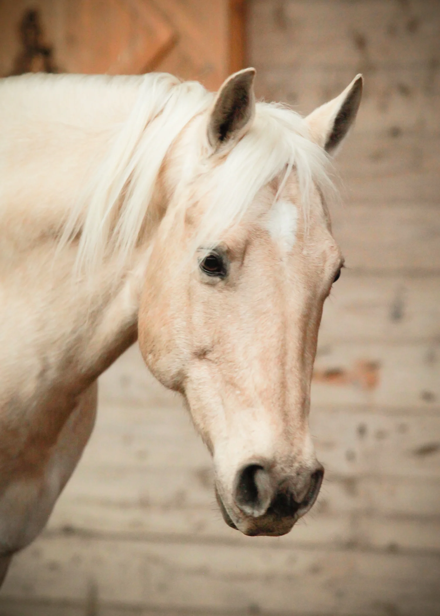 CascadianStablesWsm-252.jpg