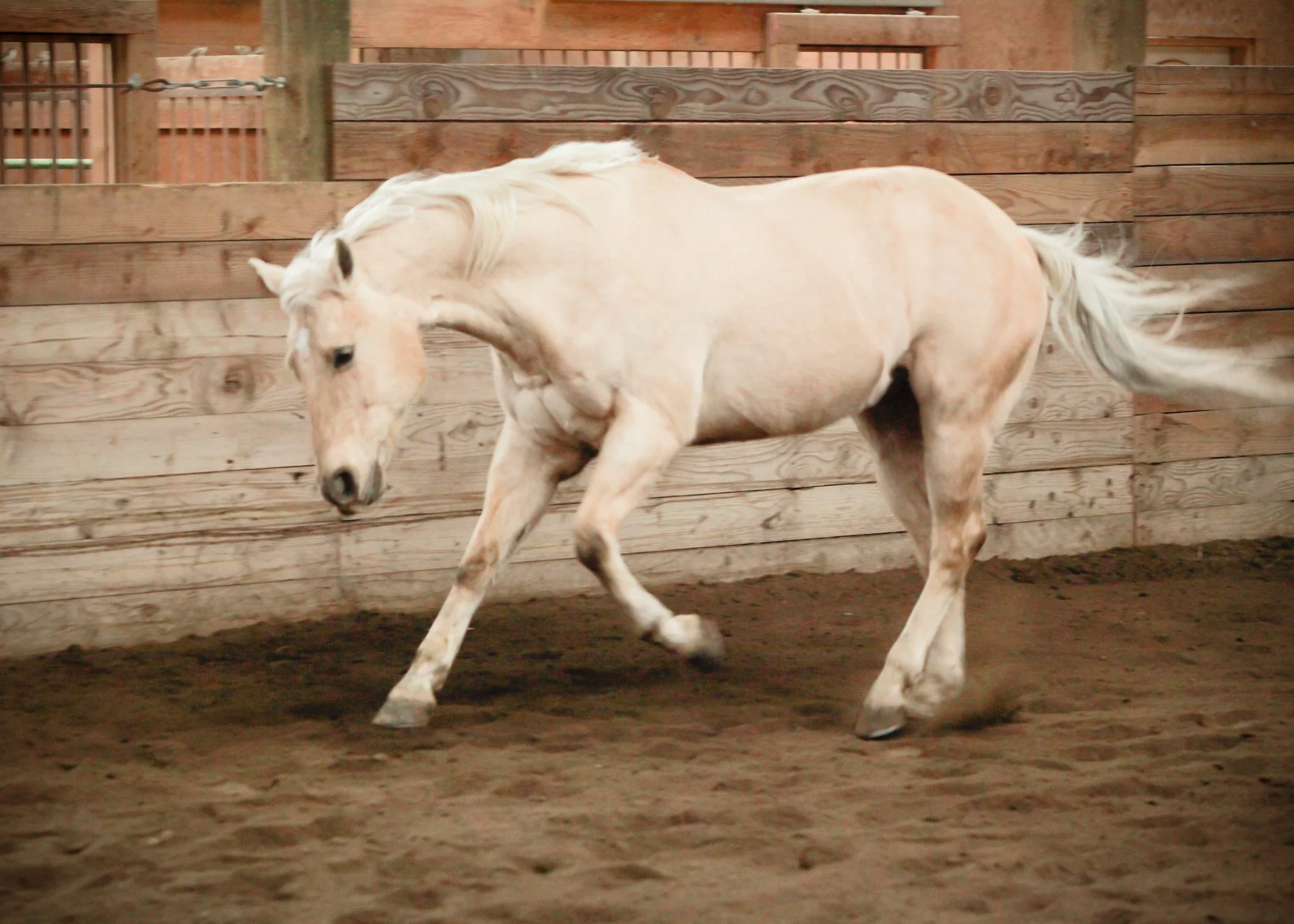 CascadianStablesWsm-246.jpg