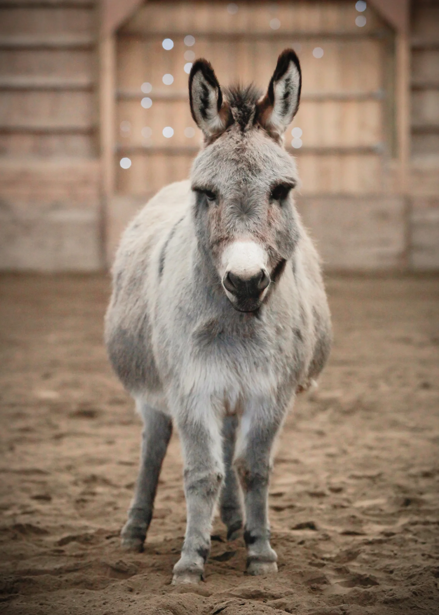 CascadianStablesWsm-223.jpg