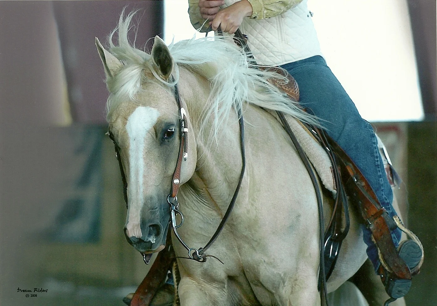 scan0002.jpg