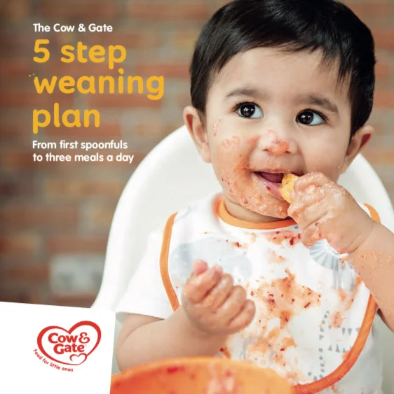 Cow-Gate-Weaning-Guide-Commercial-baby-photographer-Lisa-Tichane.jpg