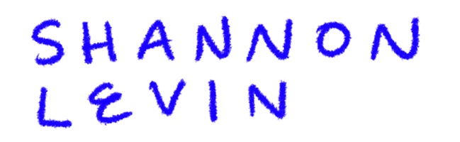 Shannon Levin
