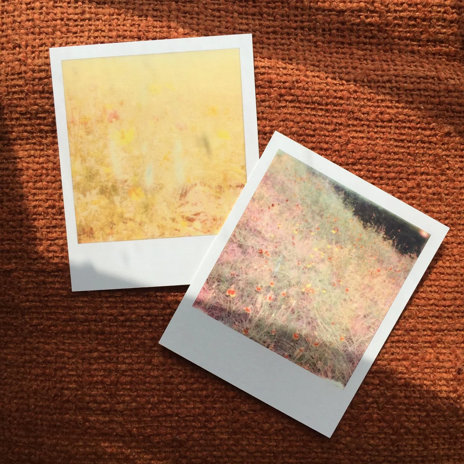 polaroidpostcards.jpeg