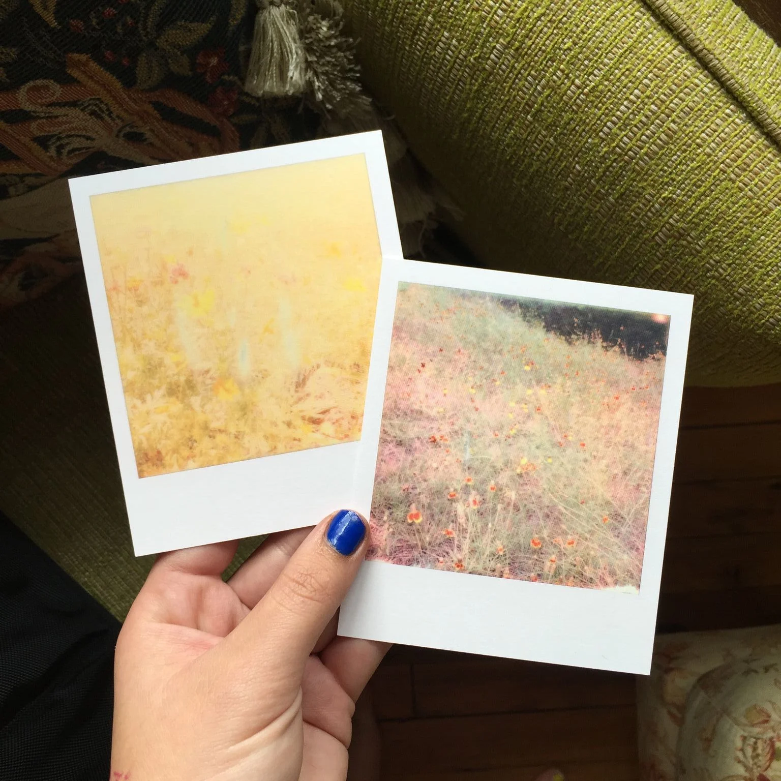 polaroidpostcards2.jpeg