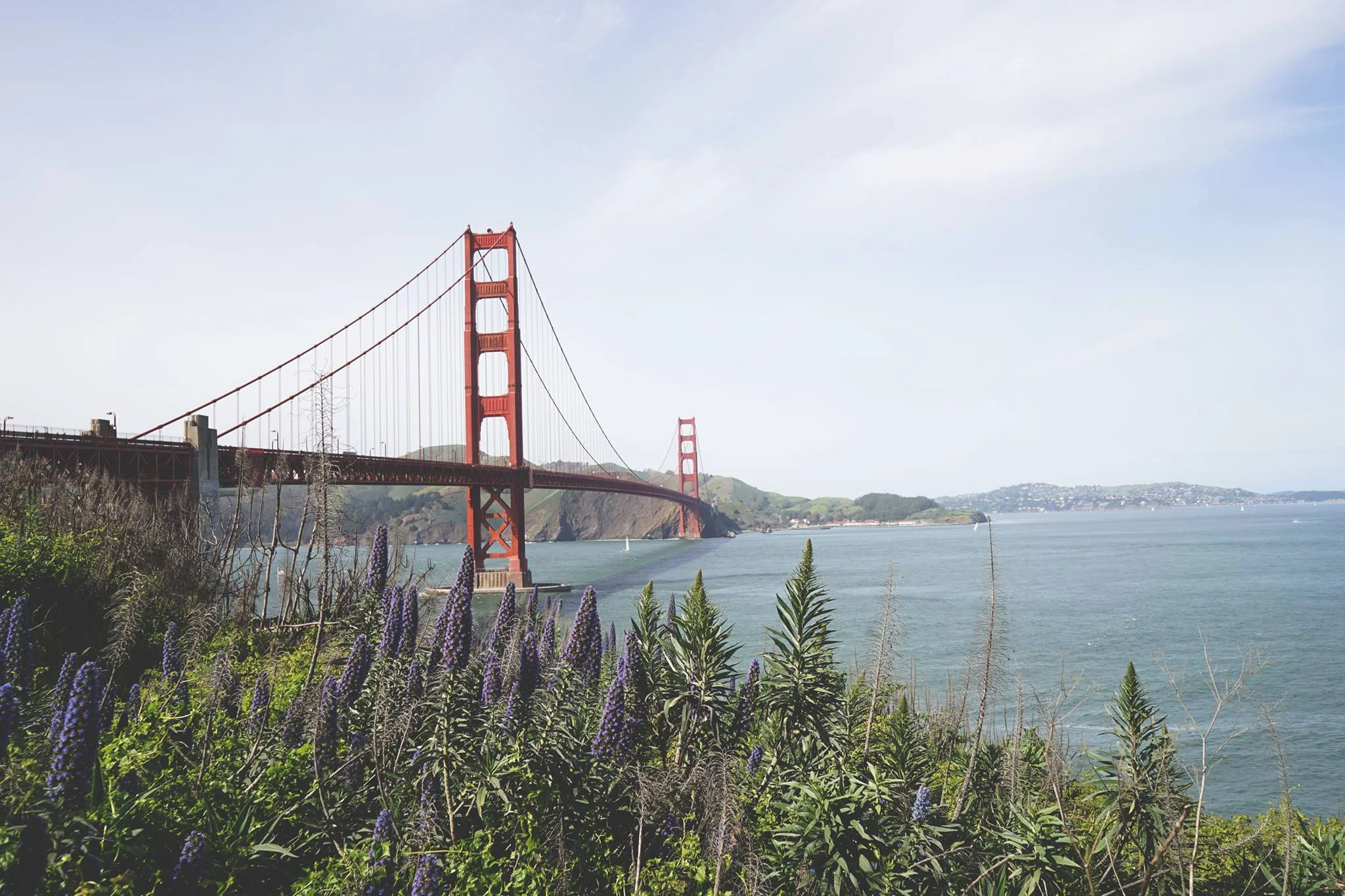Pacific Coast Highway Roadtrip