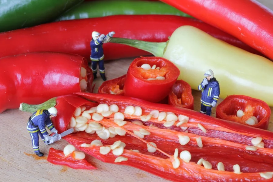 IMG_2785 Chilli Clean Up.jpg
