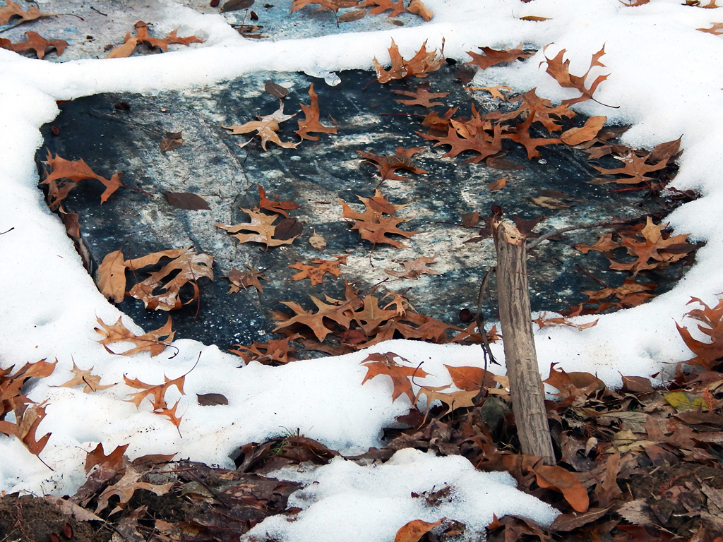 Dead Paintings no. 10 (2014). Acrylic and mixed-media paintings placed in an earth trench. (Adam Turl)
