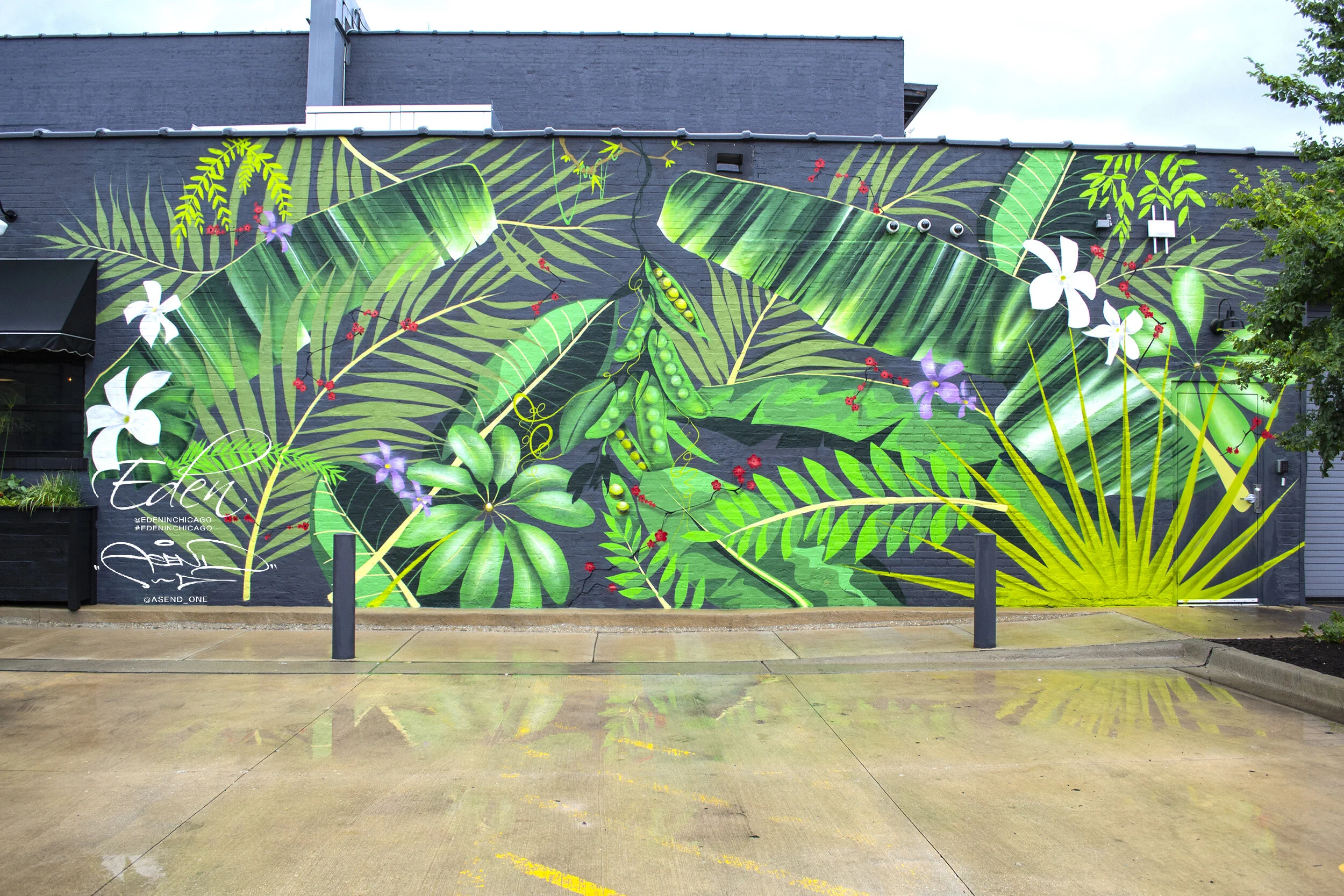 Photo 3 - Eden Restaurant.jpg