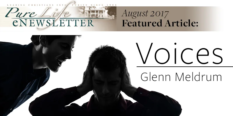 Voices by Glenn Meldrum