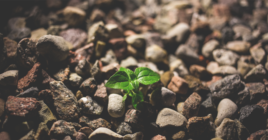 Why Spiritual Growth Matters_Small.png