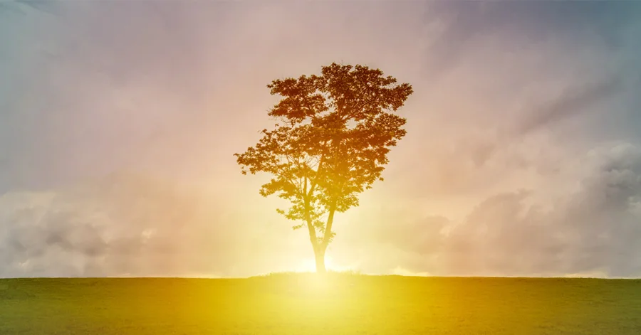New Life Small.jpg