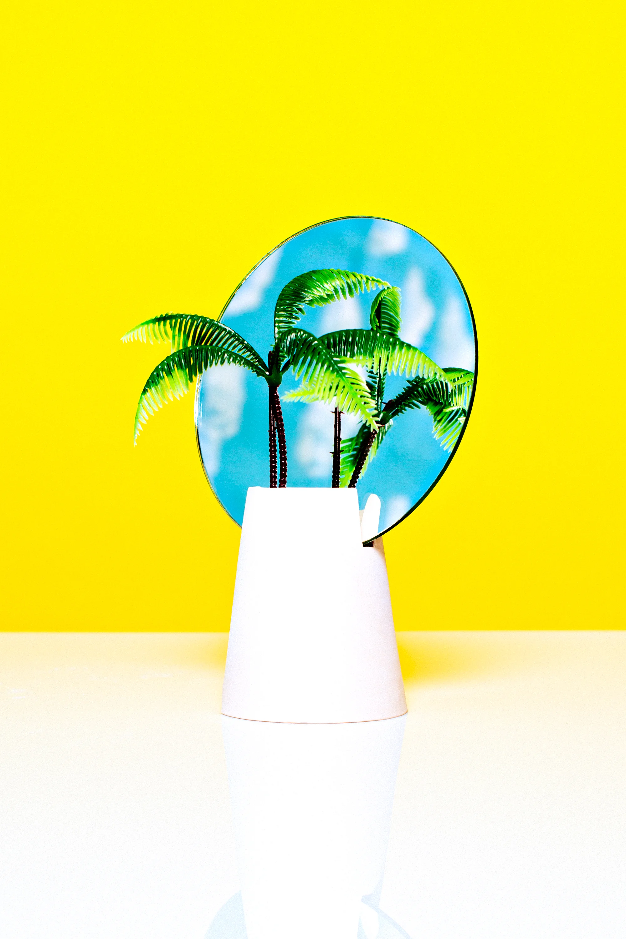 palm-tree-003-Edit.jpg