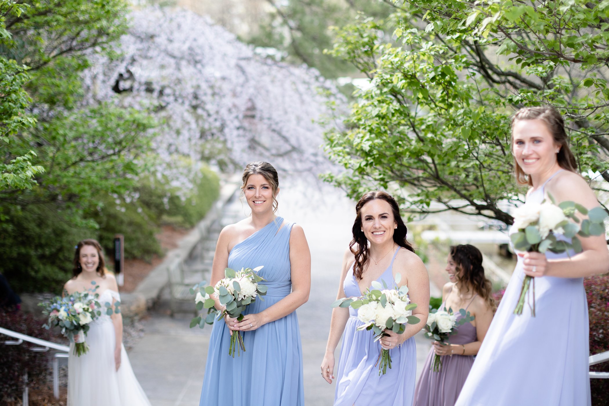 Bridemaids under the Cherry blossom trees