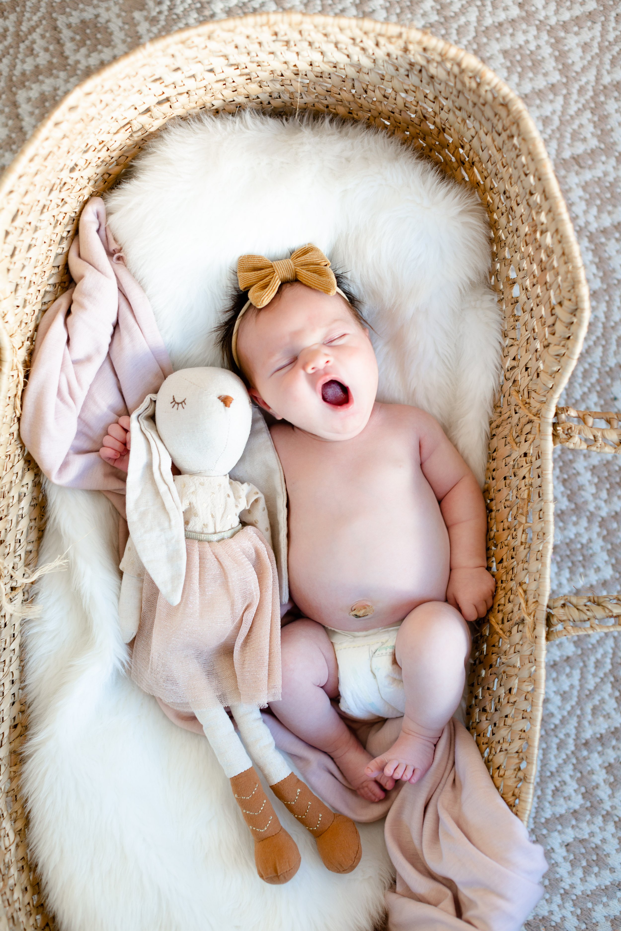 Virginia Beach Newborn Photographer