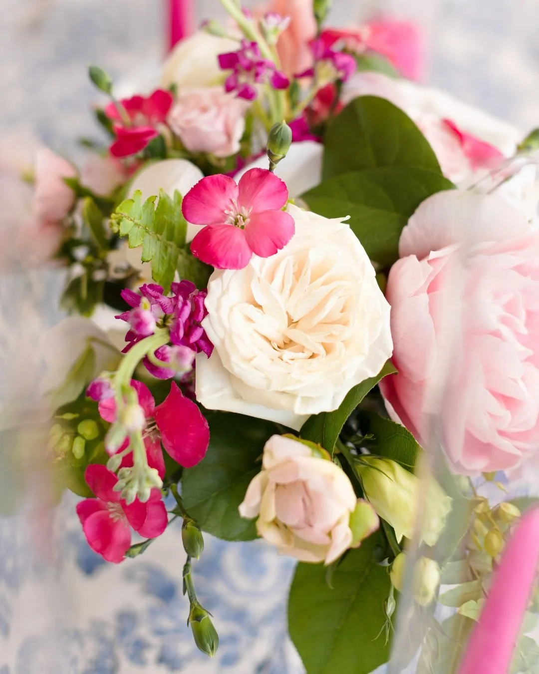 This is your colorful reminder to schedule those family spring photos for April- June!

DM or message me at skylarwyattphoto@gmail.com

#Virginiabeachfamilyphotographer #coastalphotographer