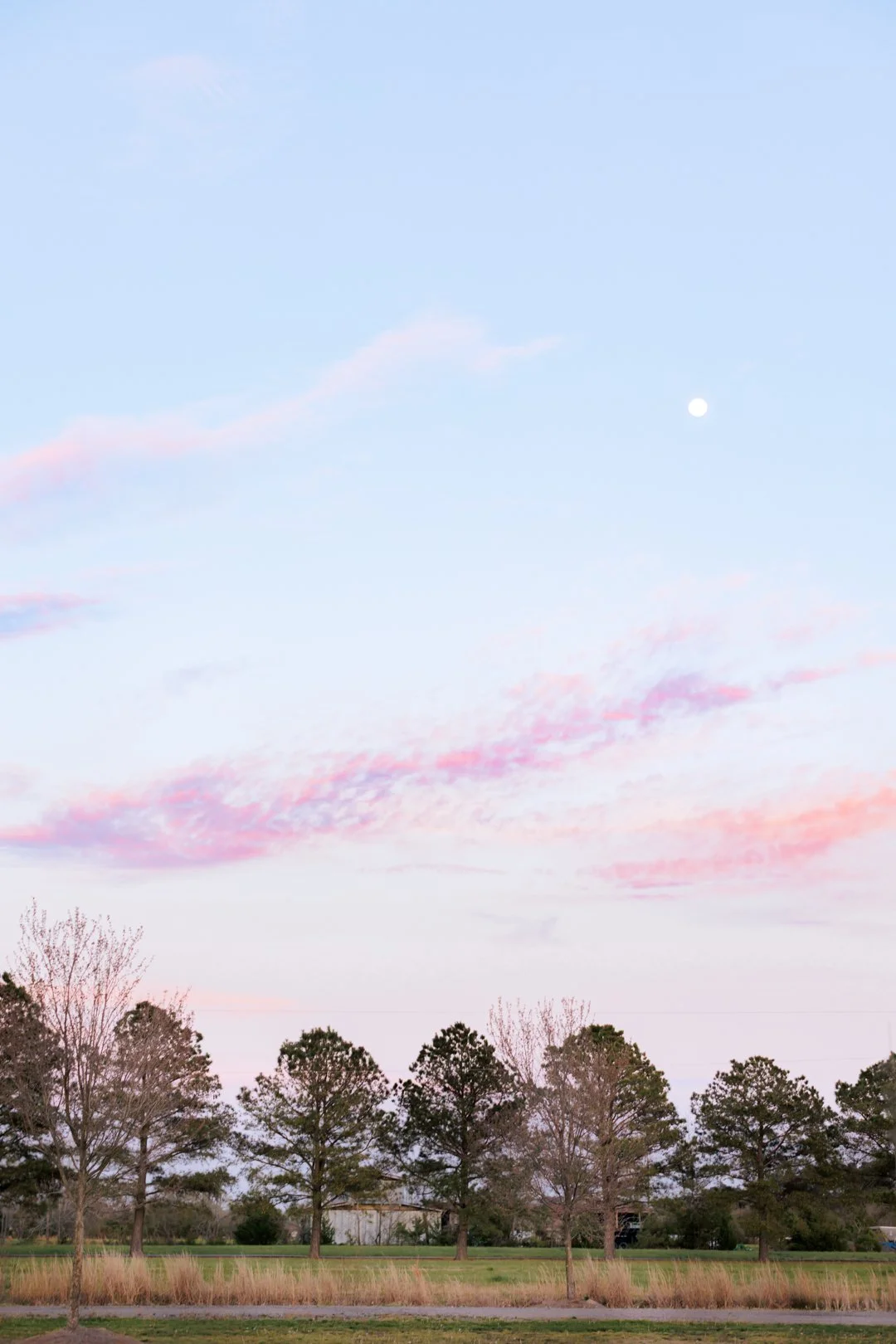 sunset.jpg