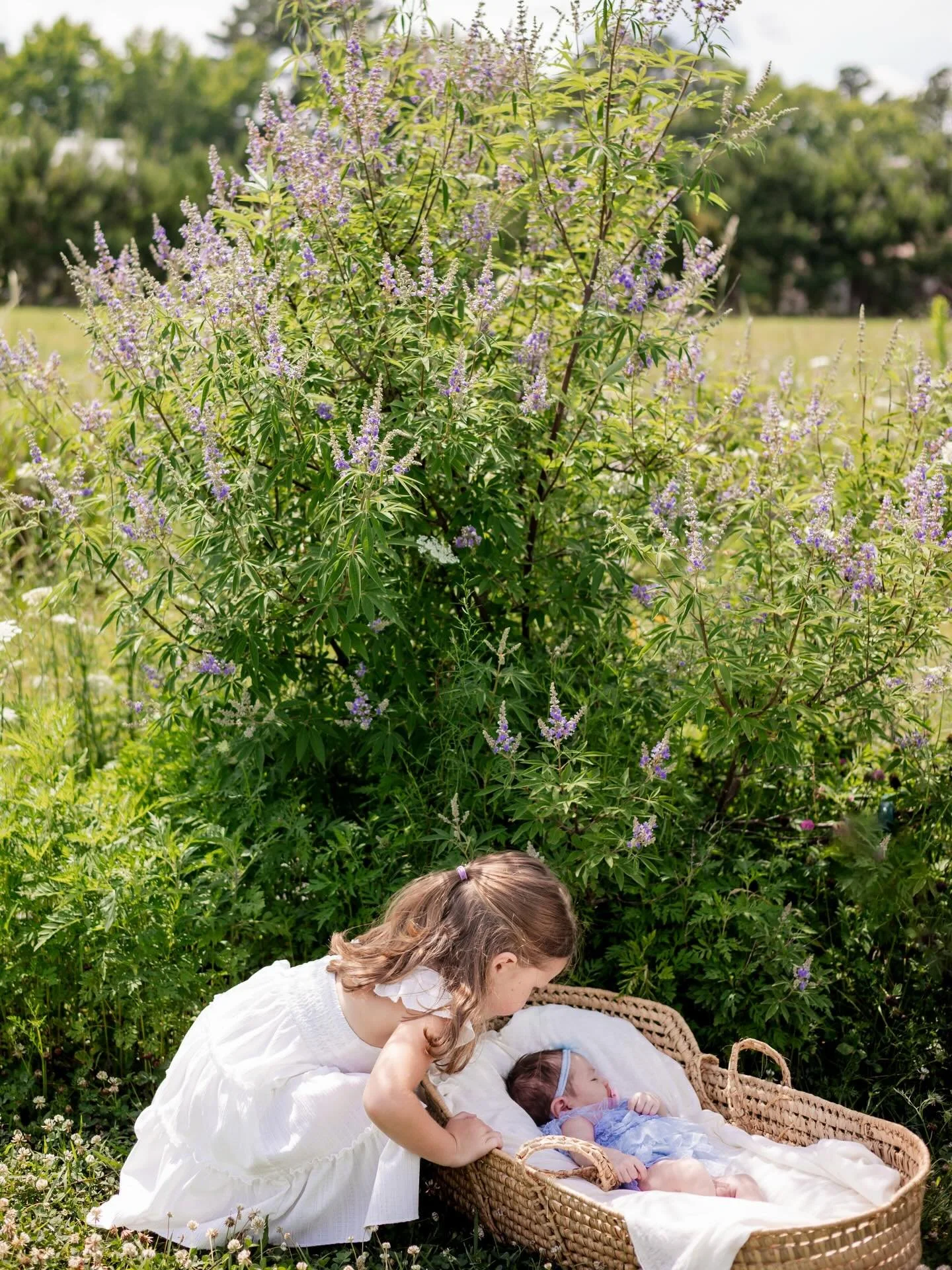 Three little girls, wildflowers, and the sweetest kind of chaos.

Some of my favorite sessions aren&rsquo;t perfectly posed they&rsquo;re the ones where sisters are sneaking kisses, toddlers are doing their own thing, and parents are soaking in these