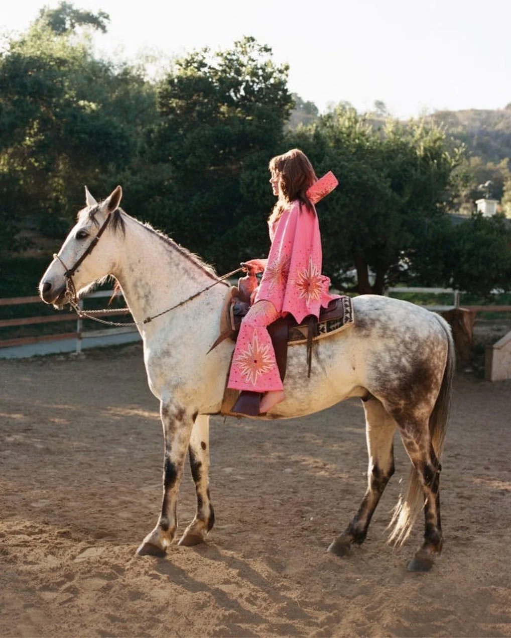 Jenny Lewis “On The Line” Record Back Cover