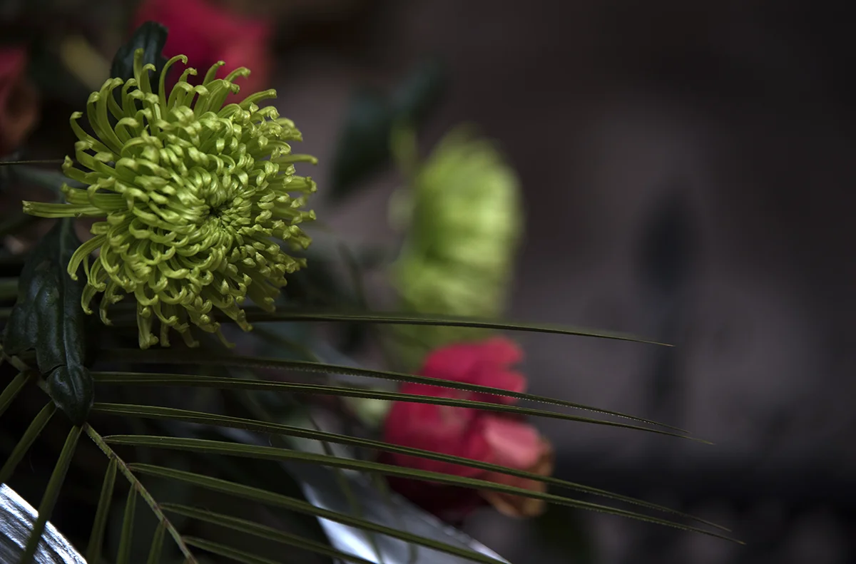 flowers2.jpg