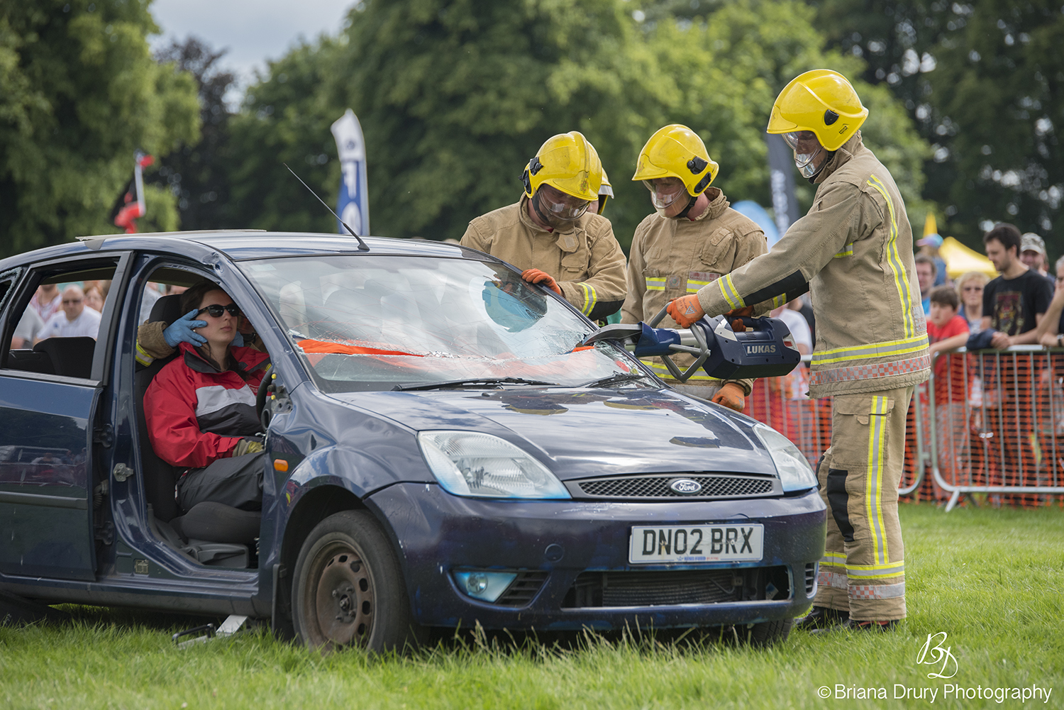 Cars_in_the_Park_1088